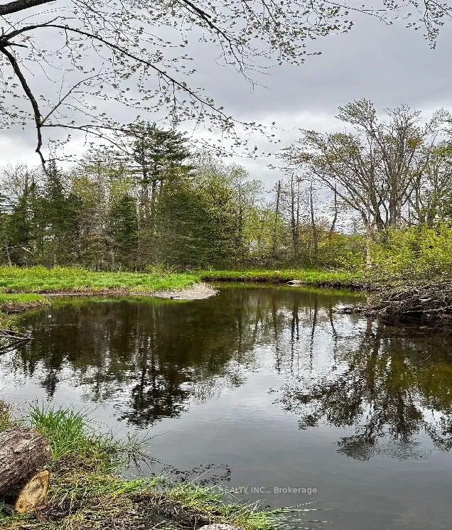 Vacant Land For Sale | X12940998