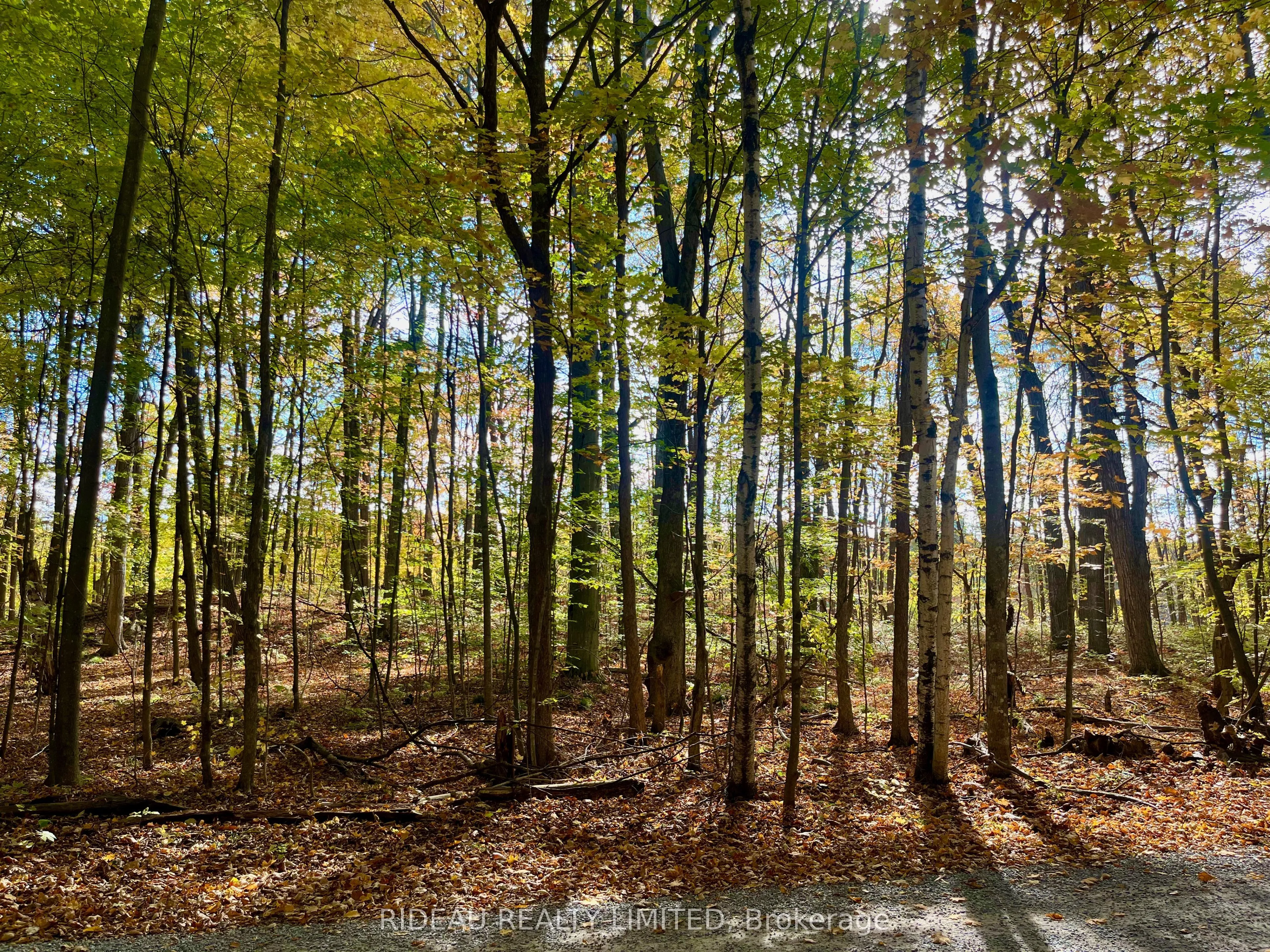 Vacant Land For Sale | X12942808