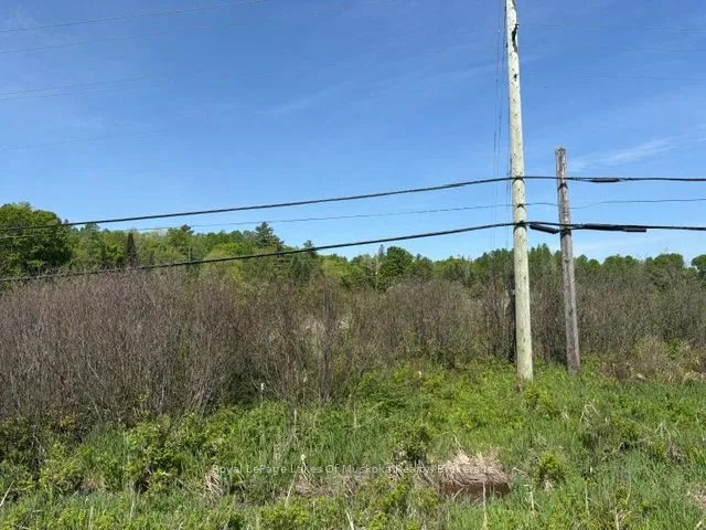 Vacant Land For Sale | X12944636