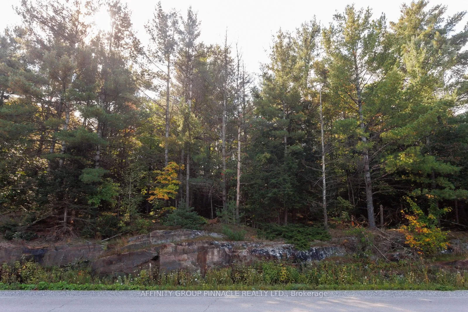Vacant Land For Sale | X12945018