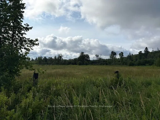 Vacant Land For Sale | X12946022