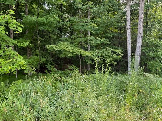 Vacant Land For Sale | X12946170