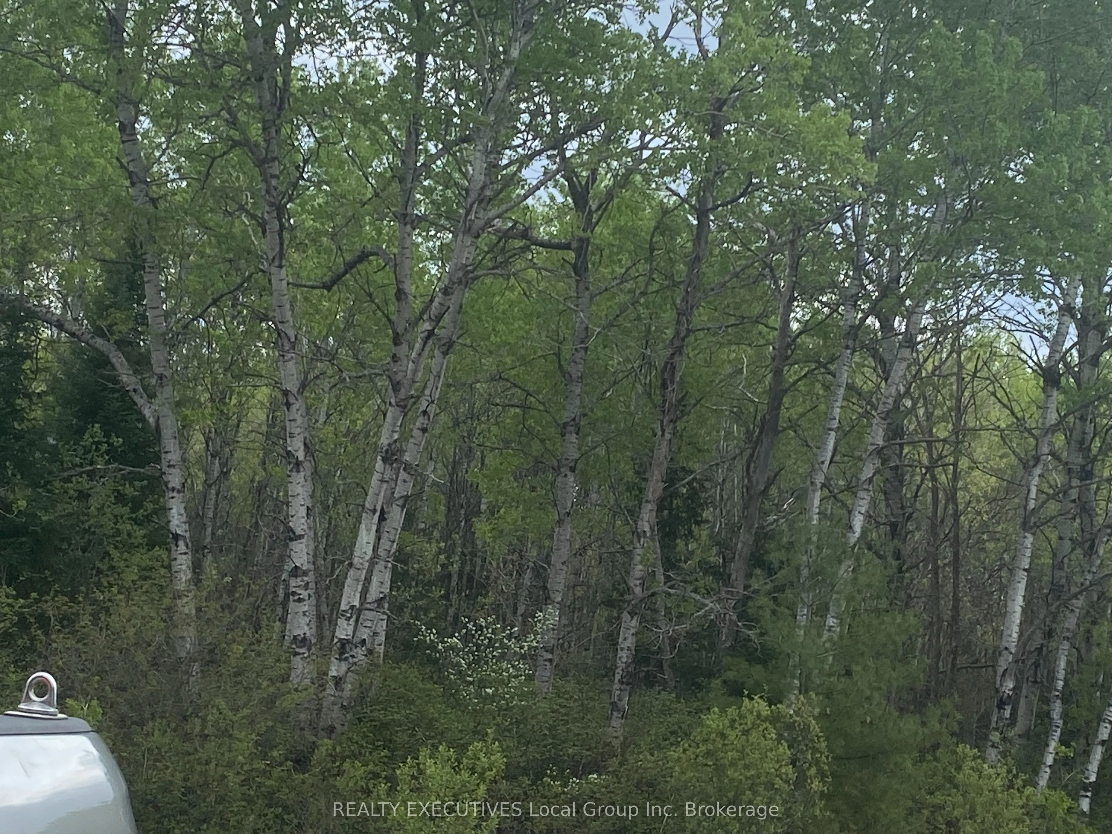 Vacant Land For Sale | X12949994