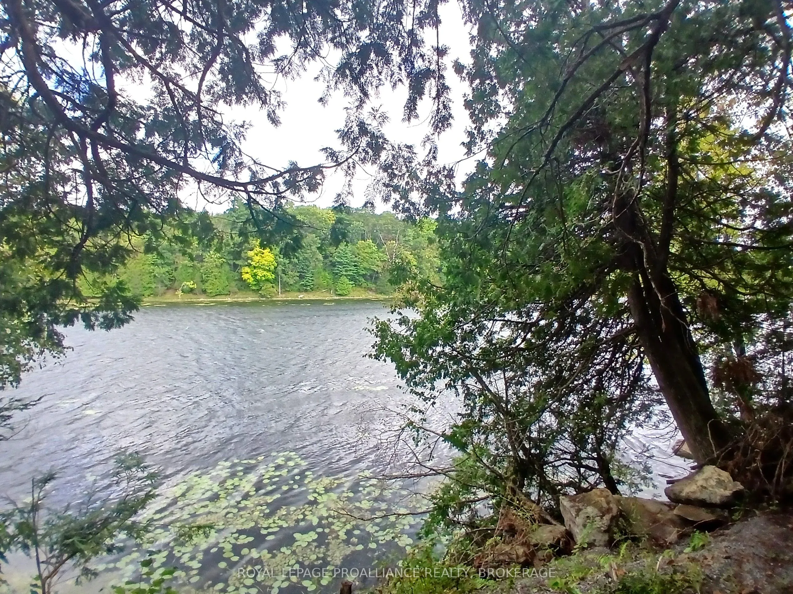Vacant Land For Sale | X12952548