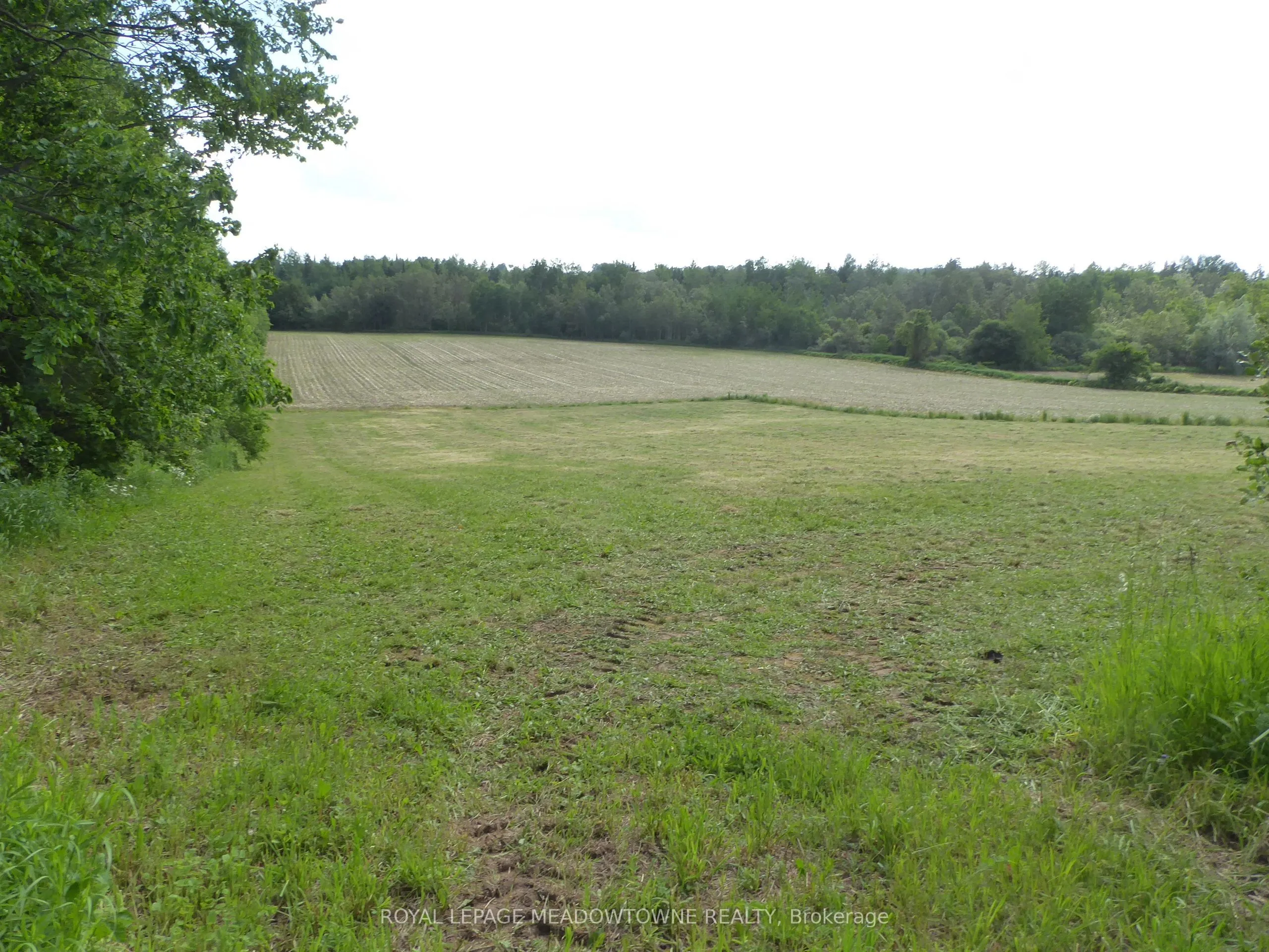 Vacant Land For Sale | X12952732