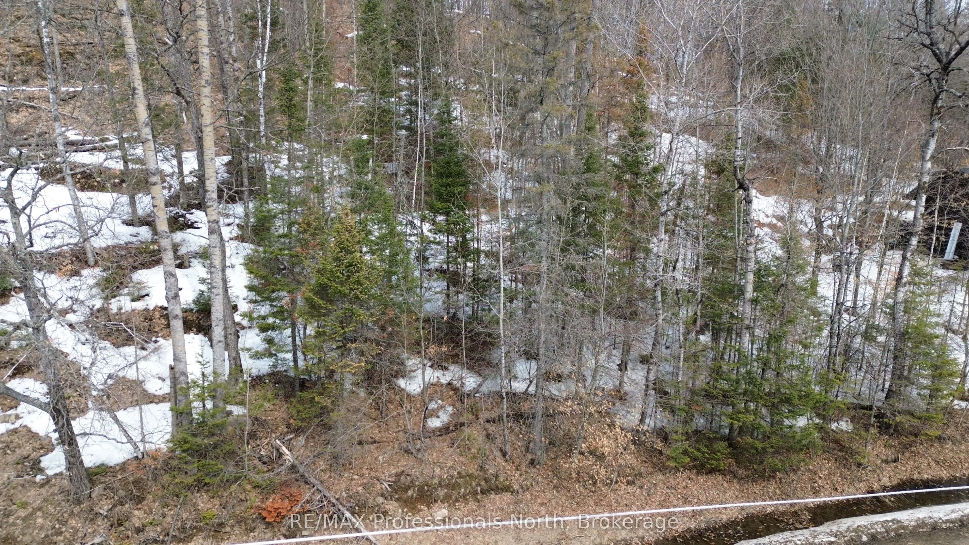 Vacant Land For Sale | X12953098