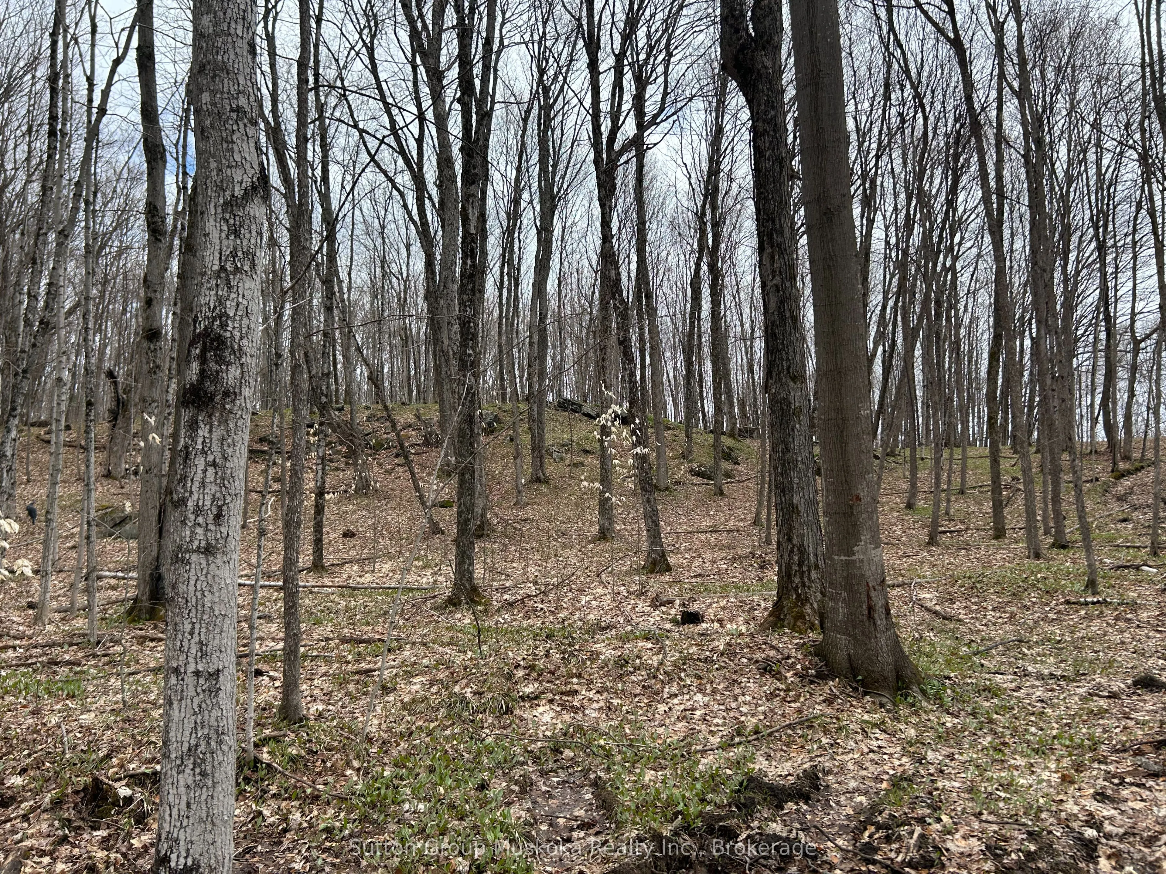 Vacant Land For Sale | X12953526
