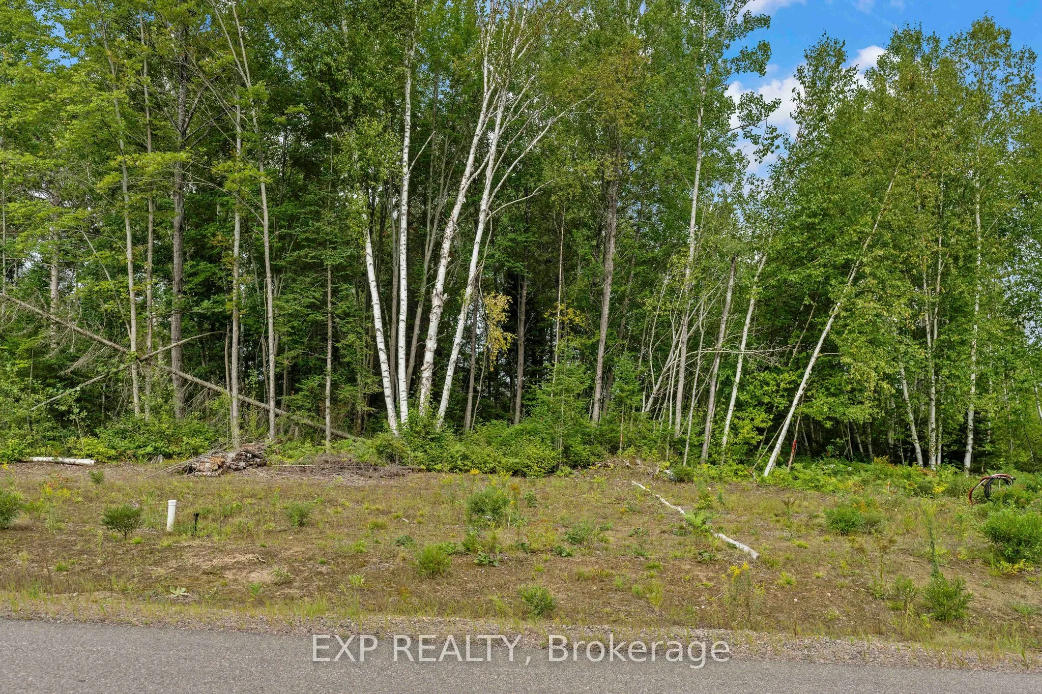 Vacant Land For Sale | X12955862