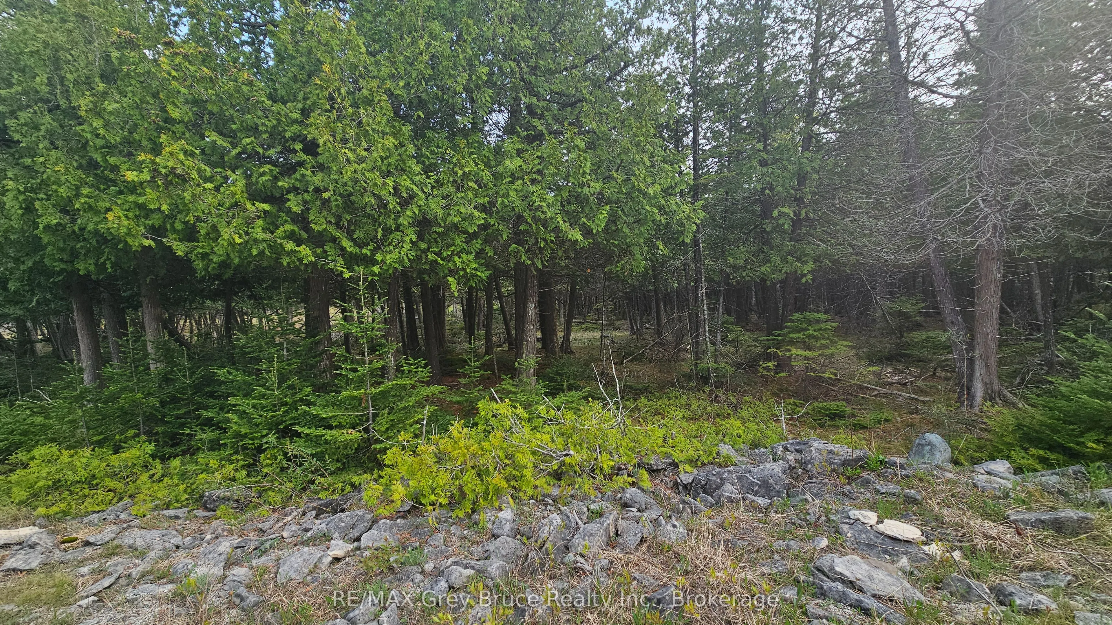 Vacant Land For Sale | X12962276