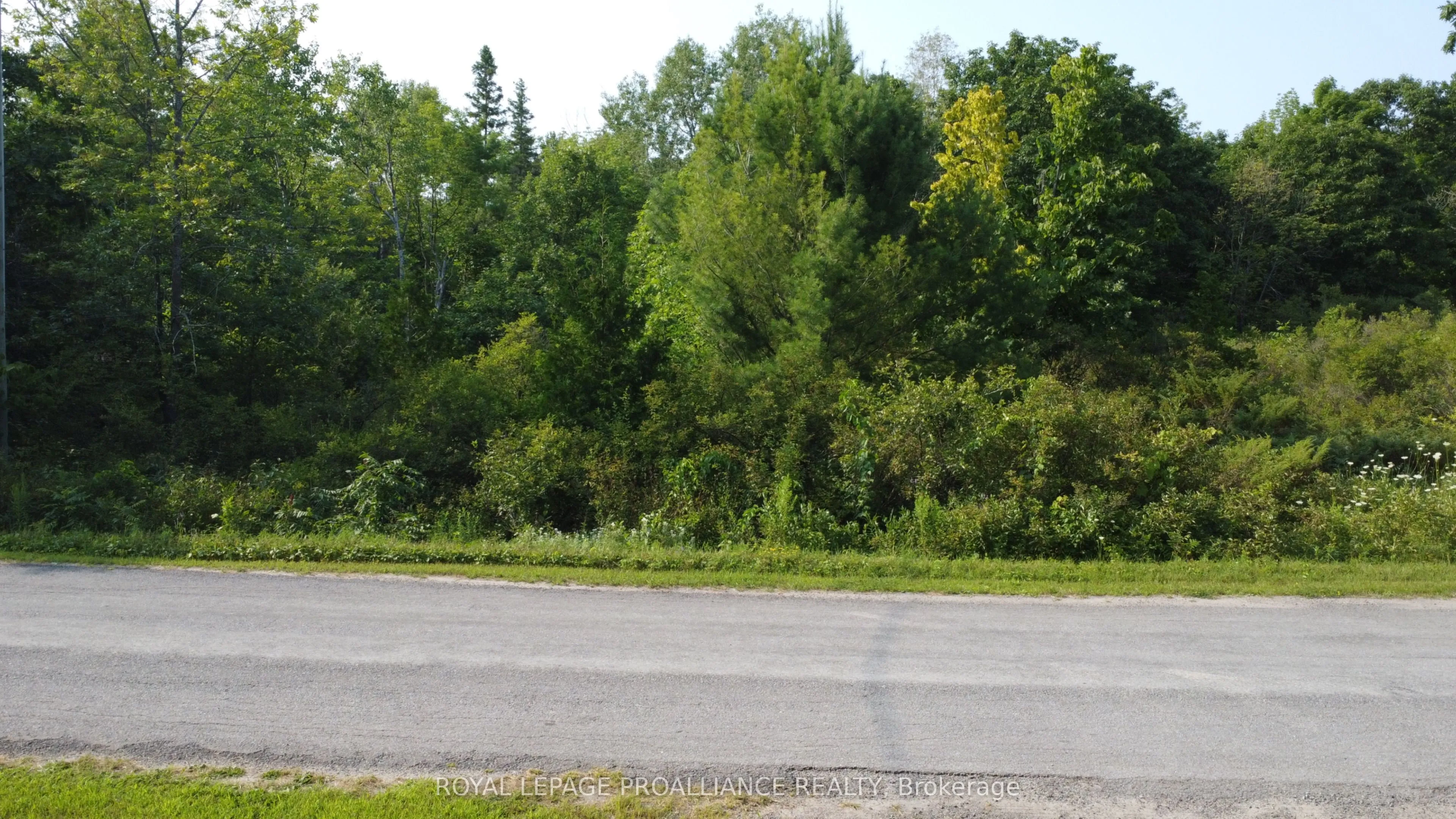 Vacant Land For Sale | X12963572