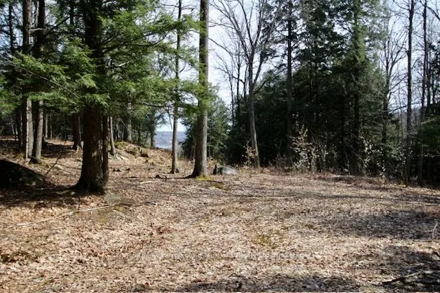 Vacant Land Condo For Sale | X12967636