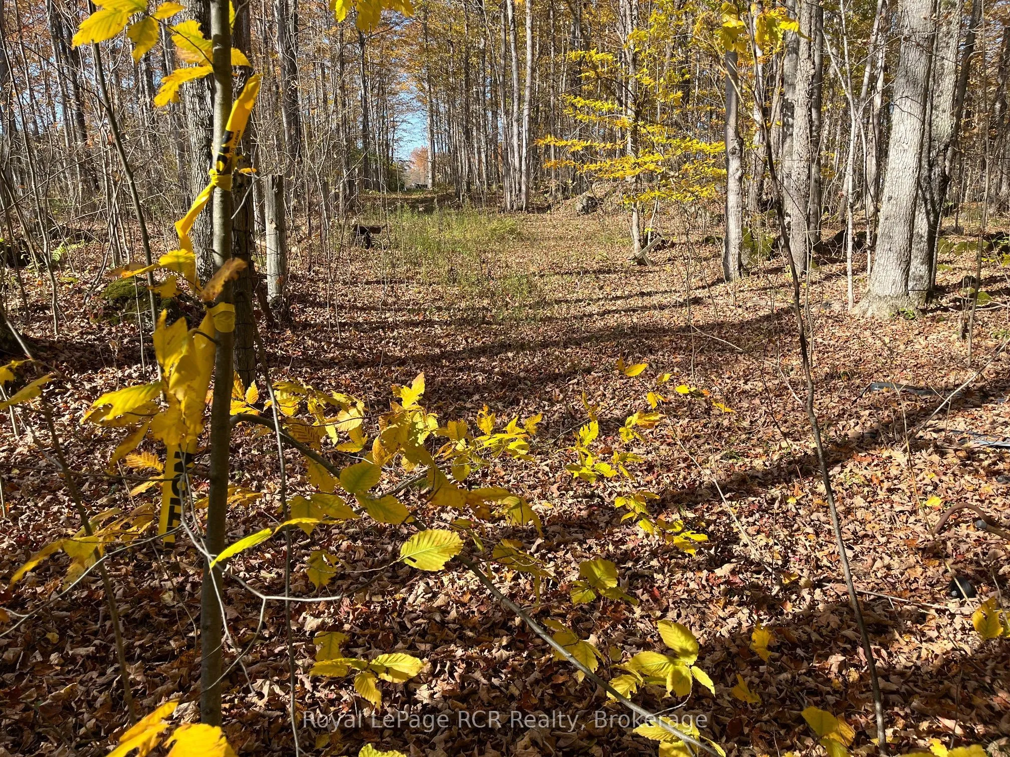 Vacant Land For Sale | X12969296
