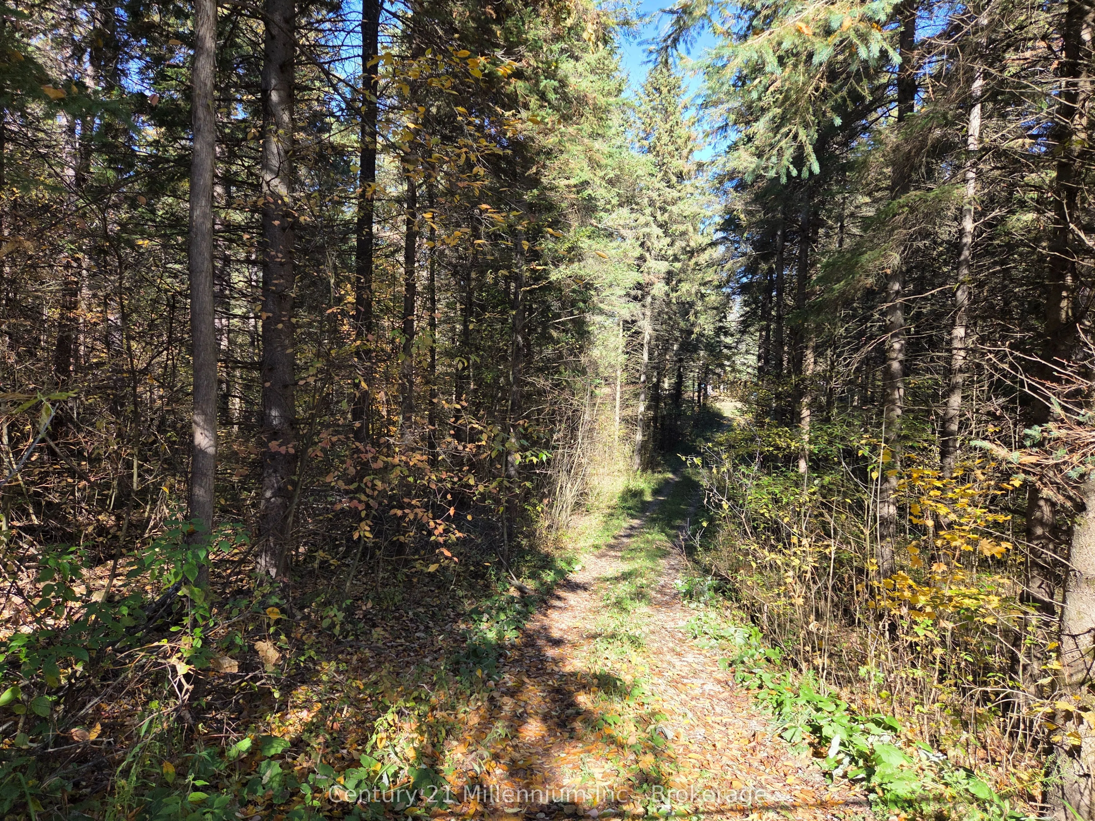 Vacant Land For Sale | X12983034