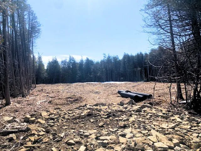 Vacant Land For Sale | X12985688