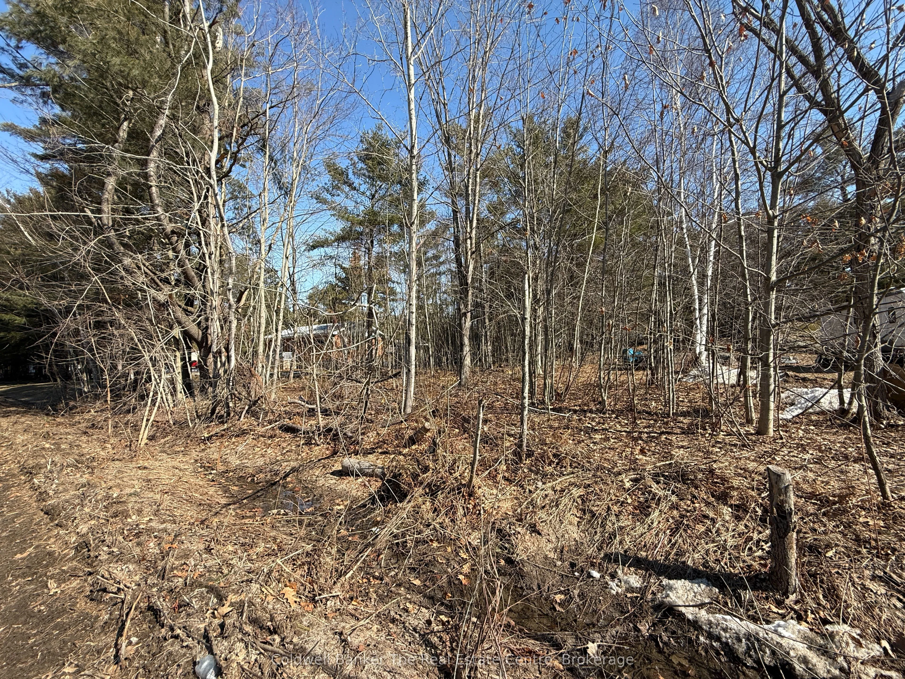 Vacant Land For Sale | X12986450