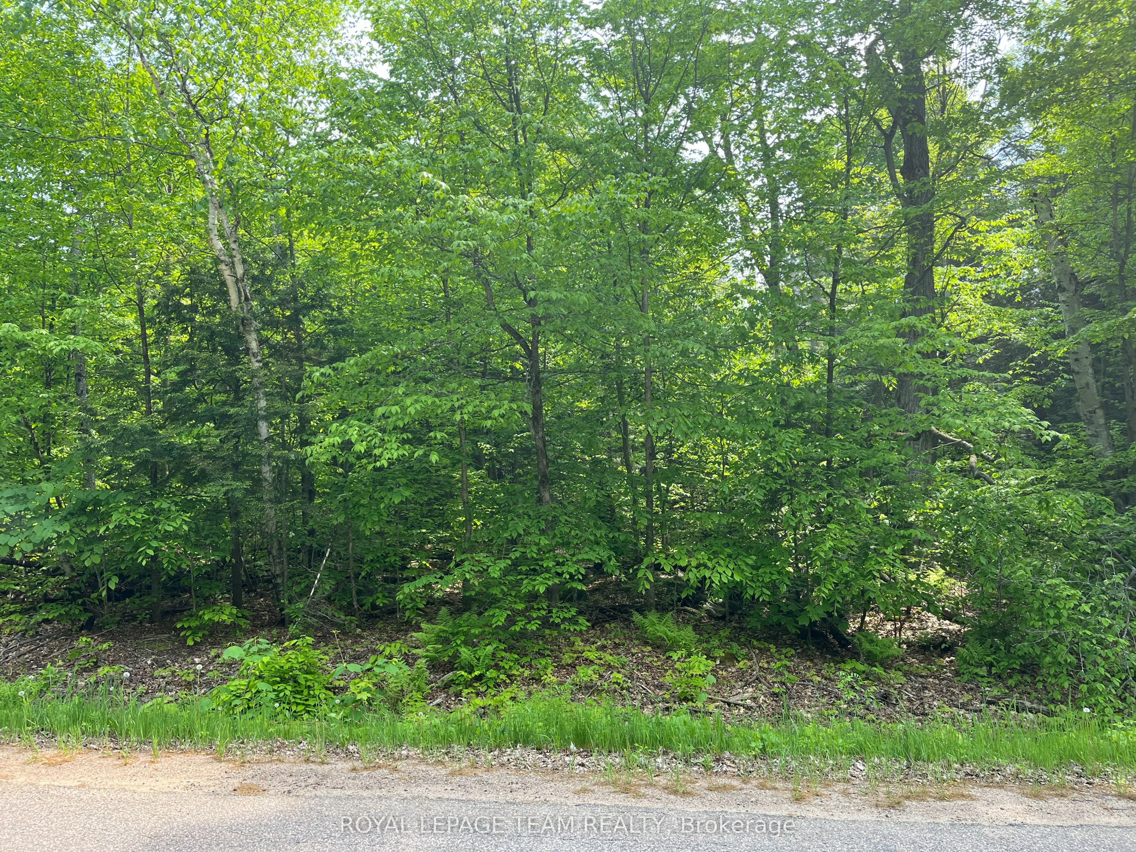 Vacant Land For Sale | X13002610