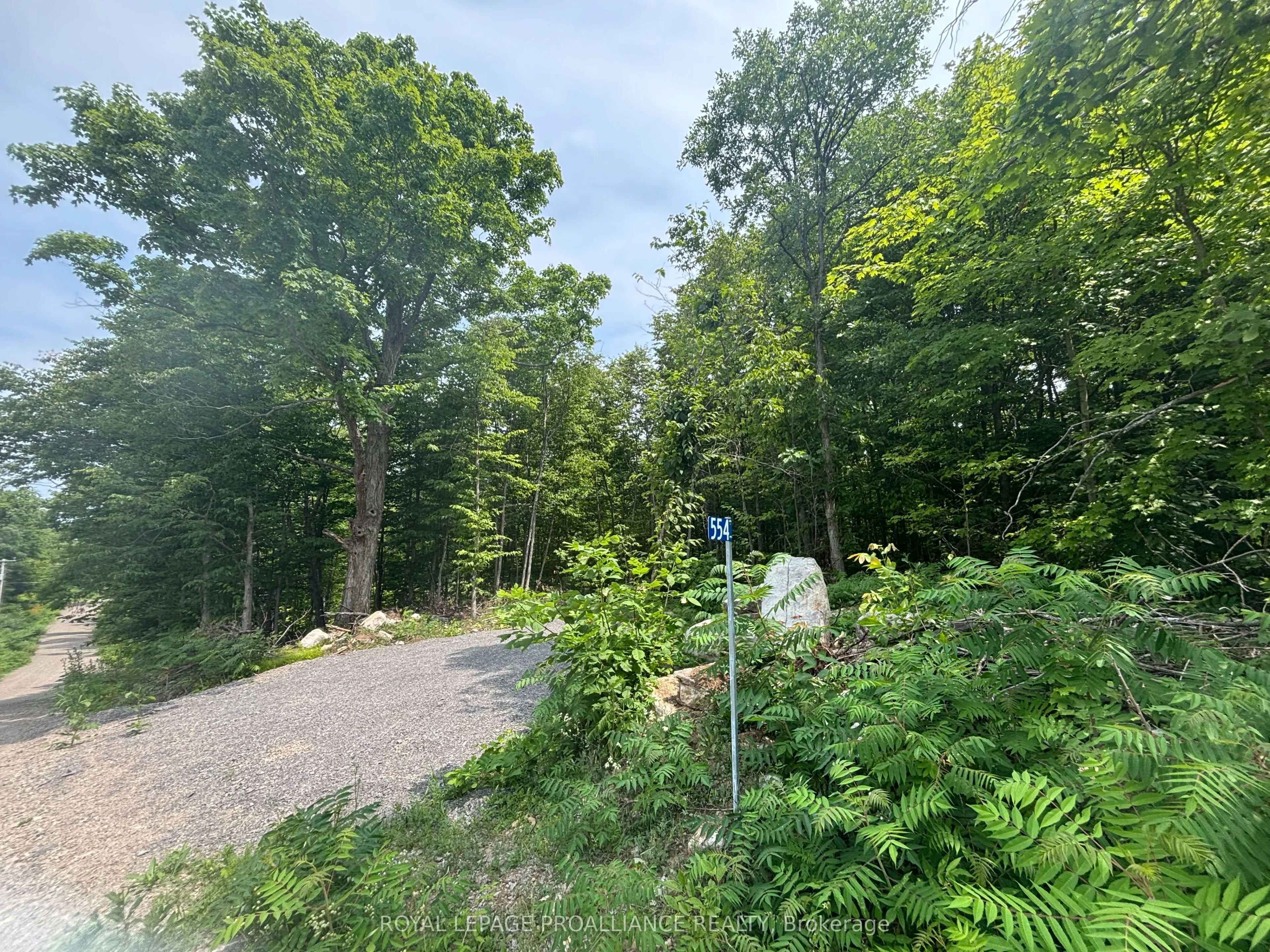 Vacant Land For Sale | X13021500