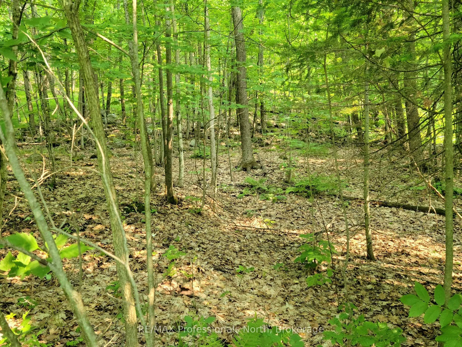 Vacant Land For Sale | X13039128