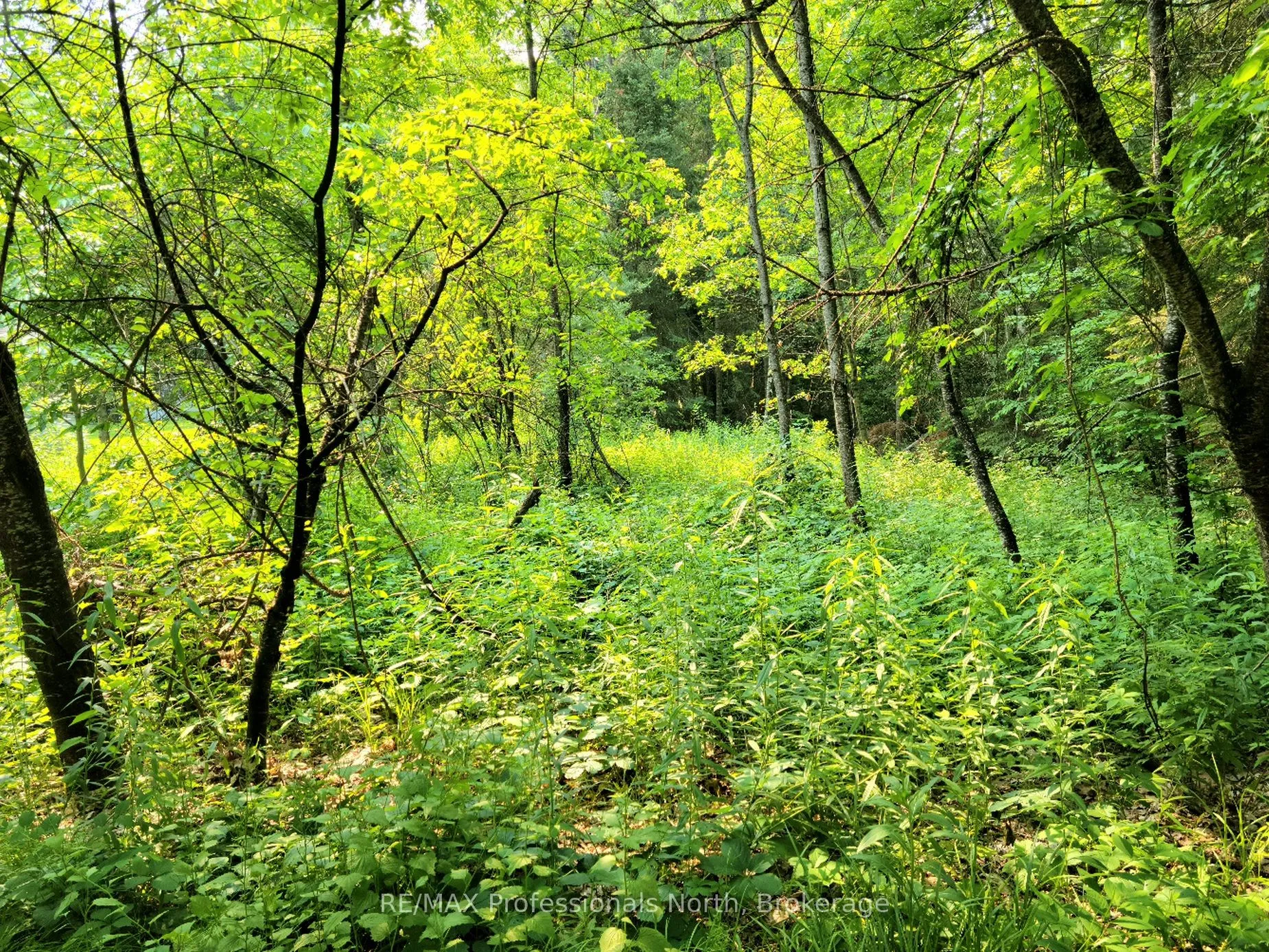 Vacant Land For Sale | X13039132
