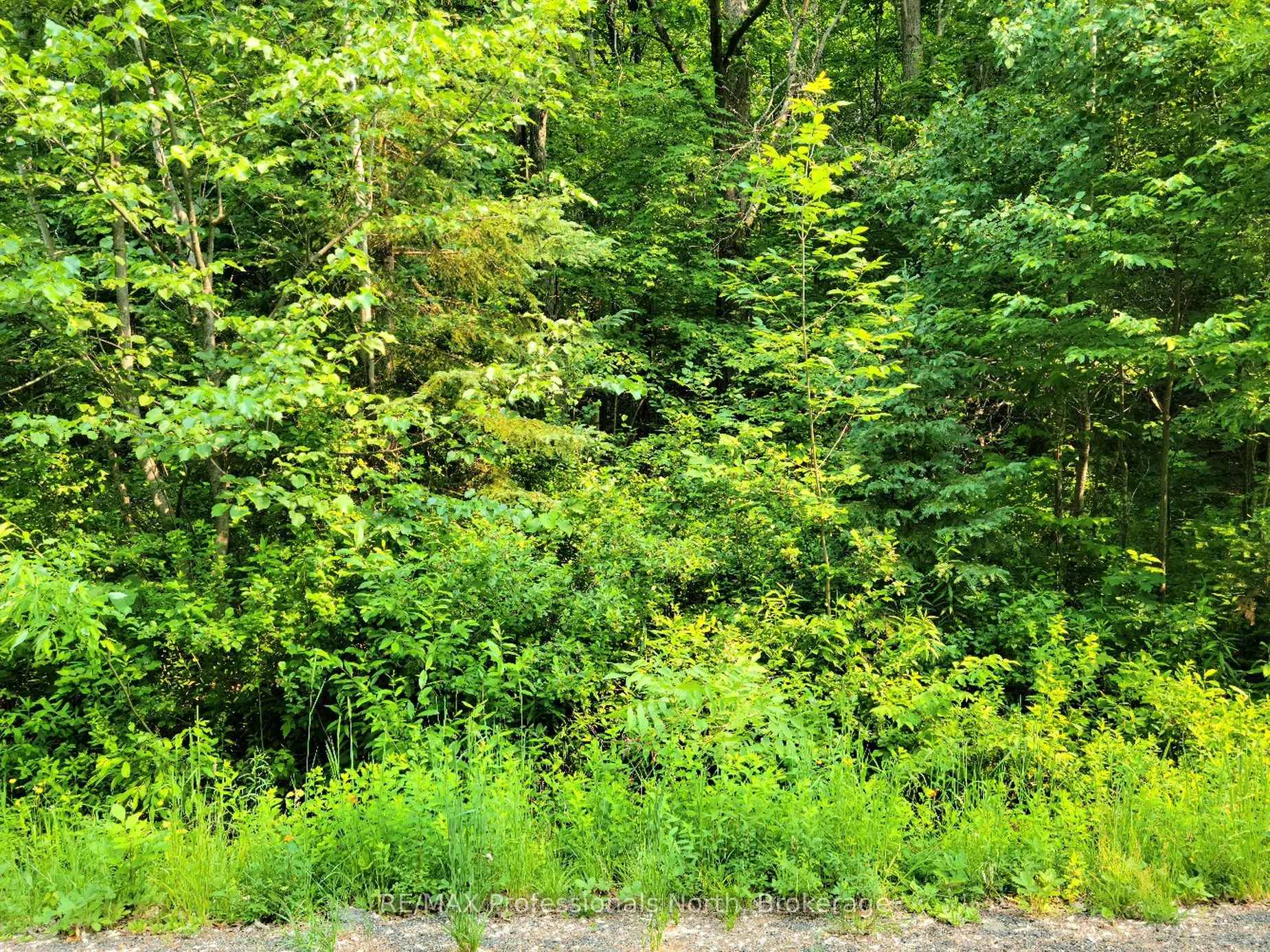 Vacant Land For Sale | X13039134