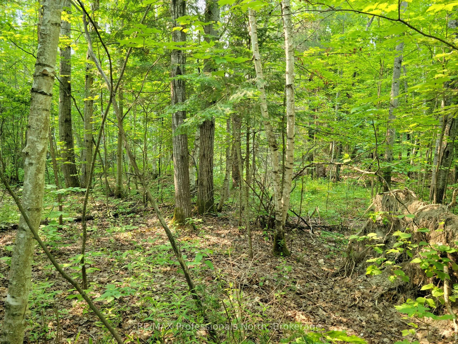 Vacant Land For Sale | X13039136