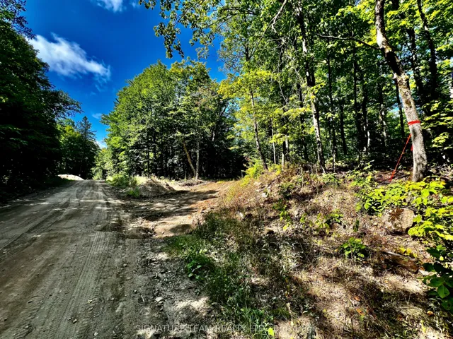 0 Nordic Lane, Brudenell, Lyndoch And Raglan, ON K0J 2A0