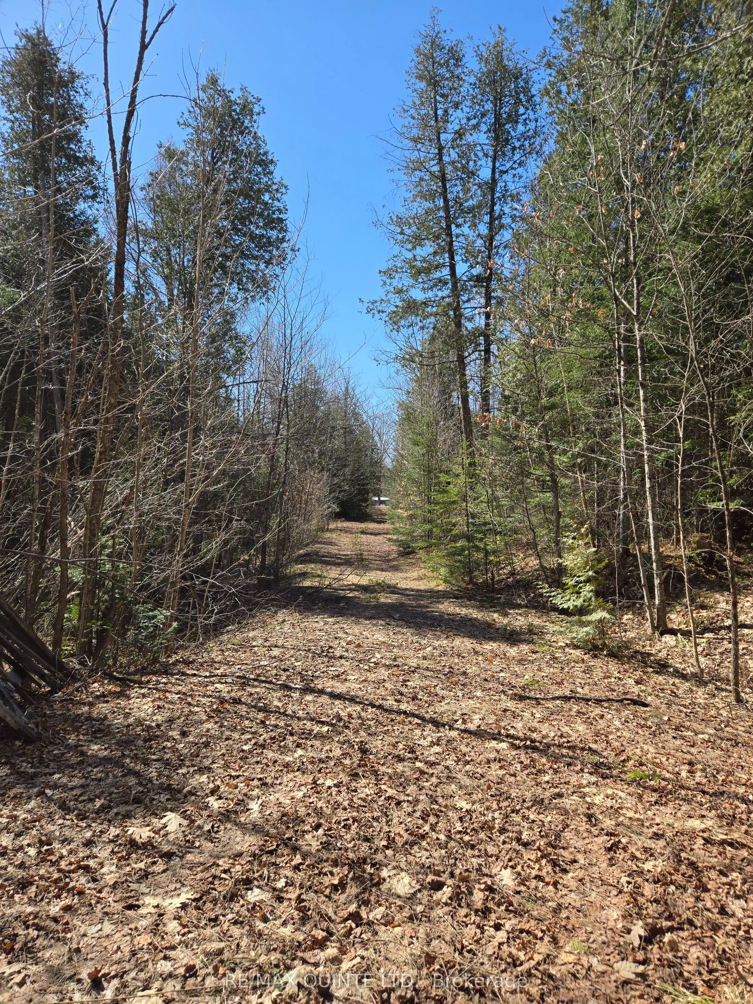 Vacant Land For Sale | X13070140