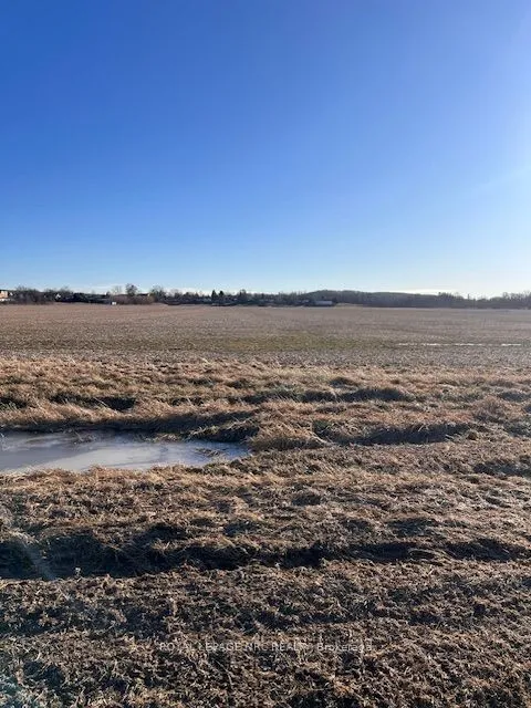 Vacant Land For Sale | X13070888