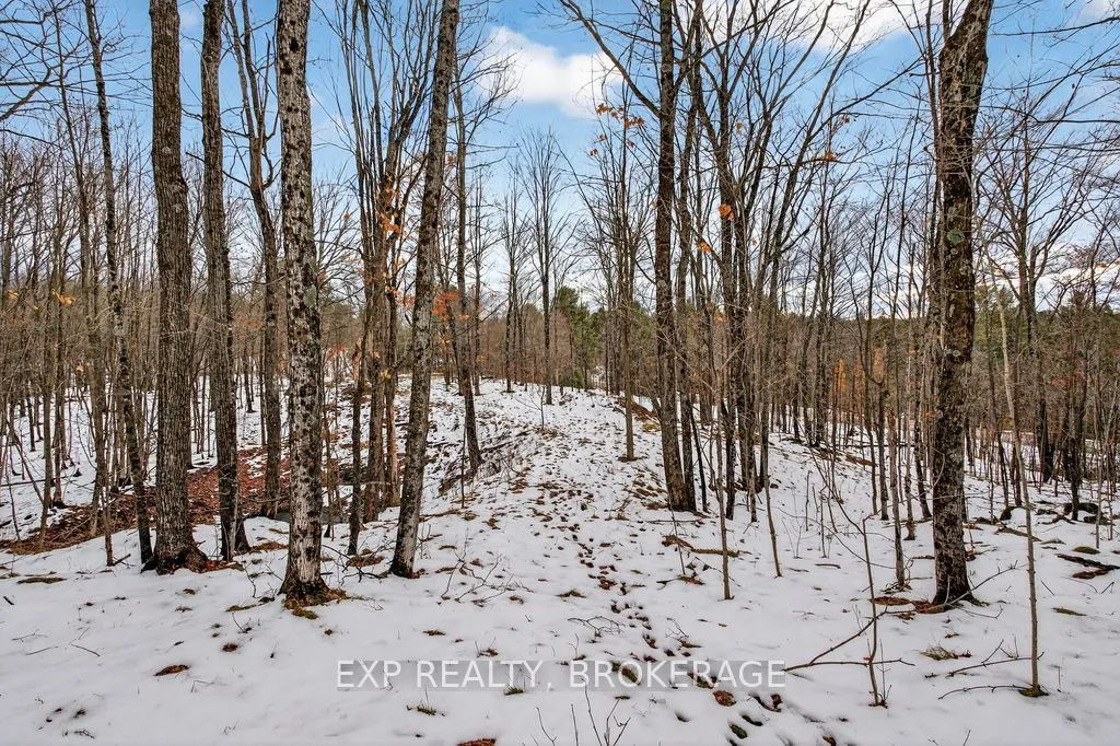 Vacant Land For Sale | X13073534