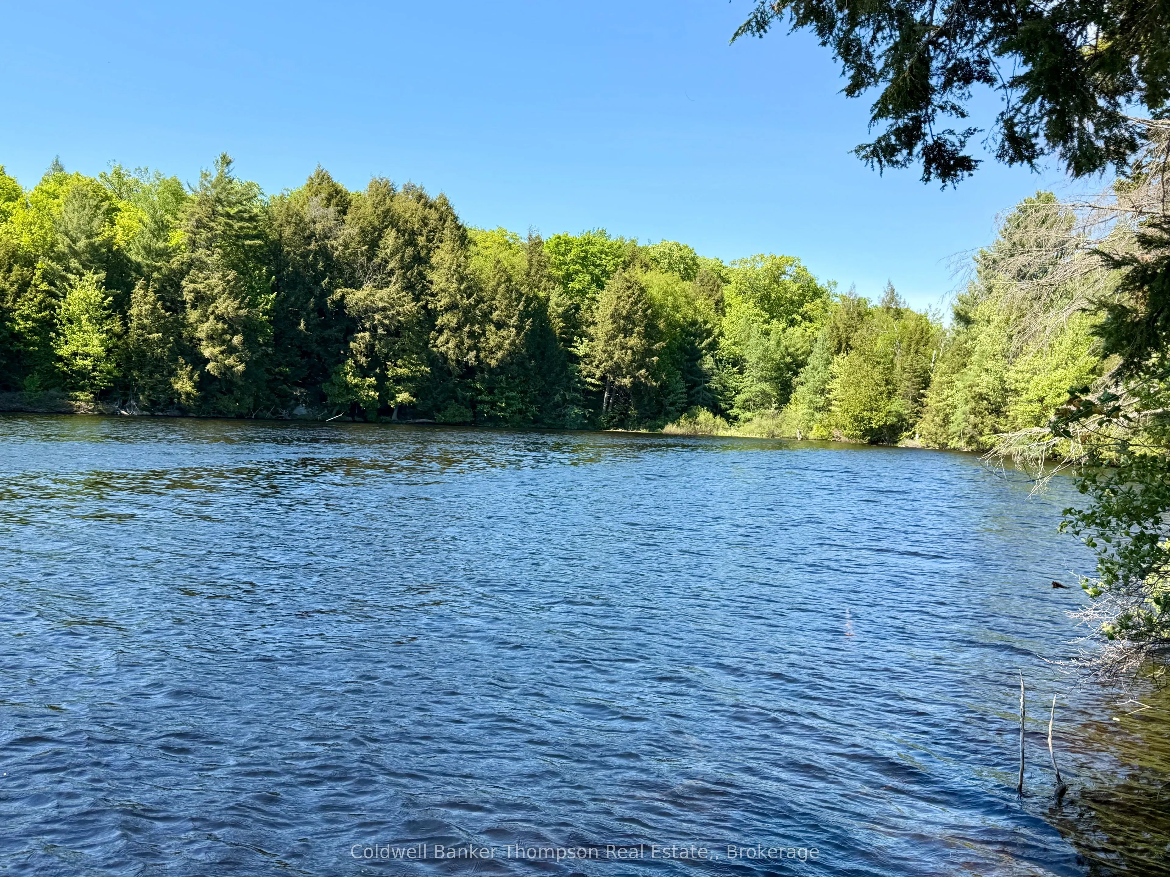 Vacant Land For Sale | X13073814
