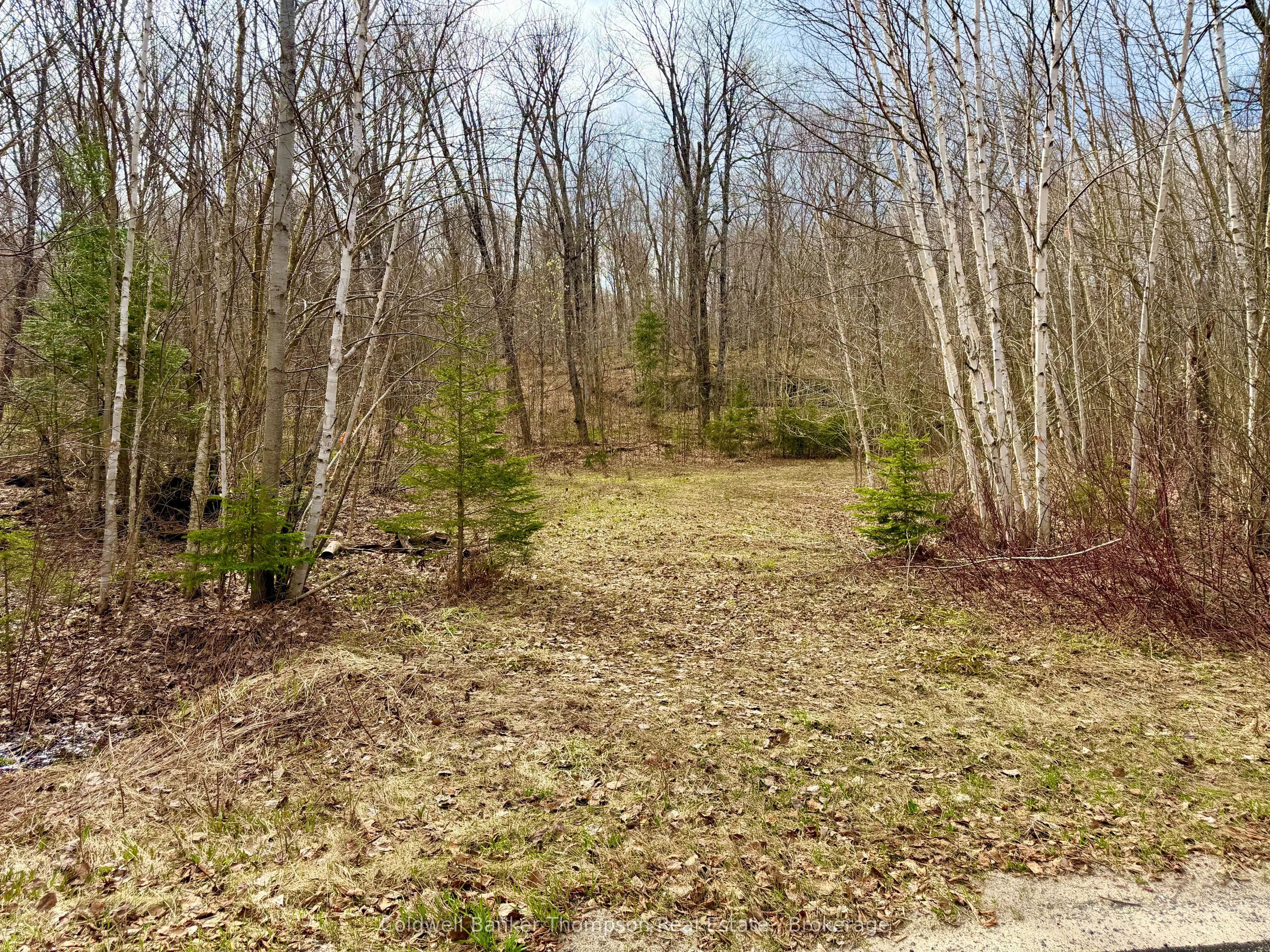 Vacant Land For Sale | X13073818