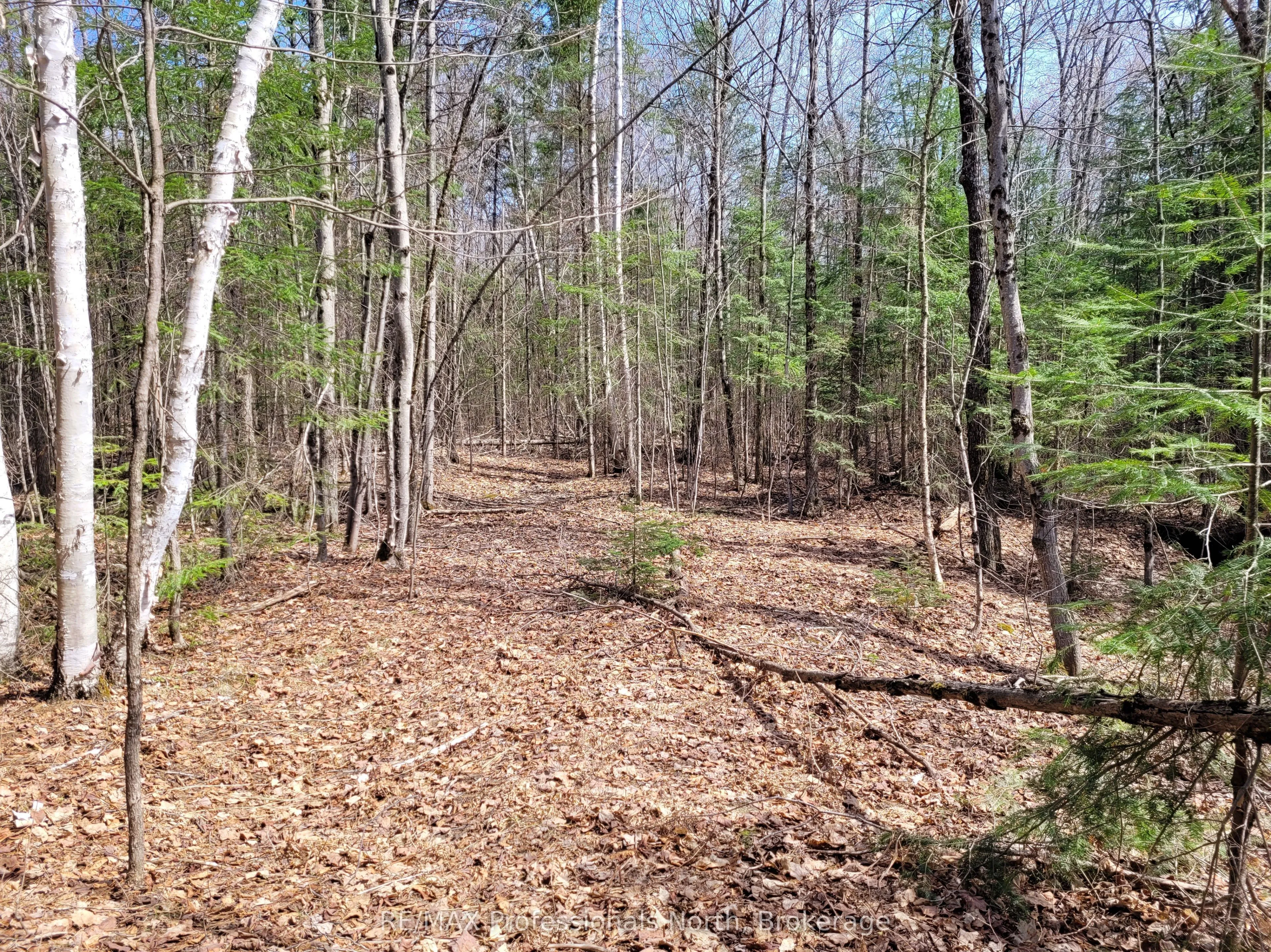 Vacant Land For Sale | X13075668