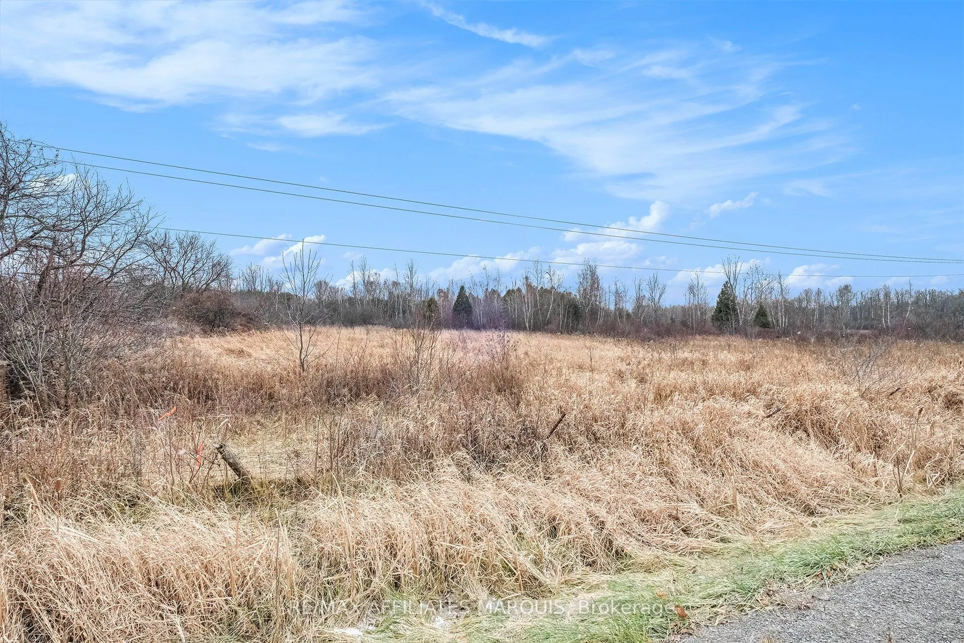 Vacant Land For Sale | X13076800