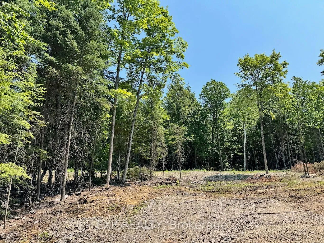 Vacant Land For Sale | X13079880