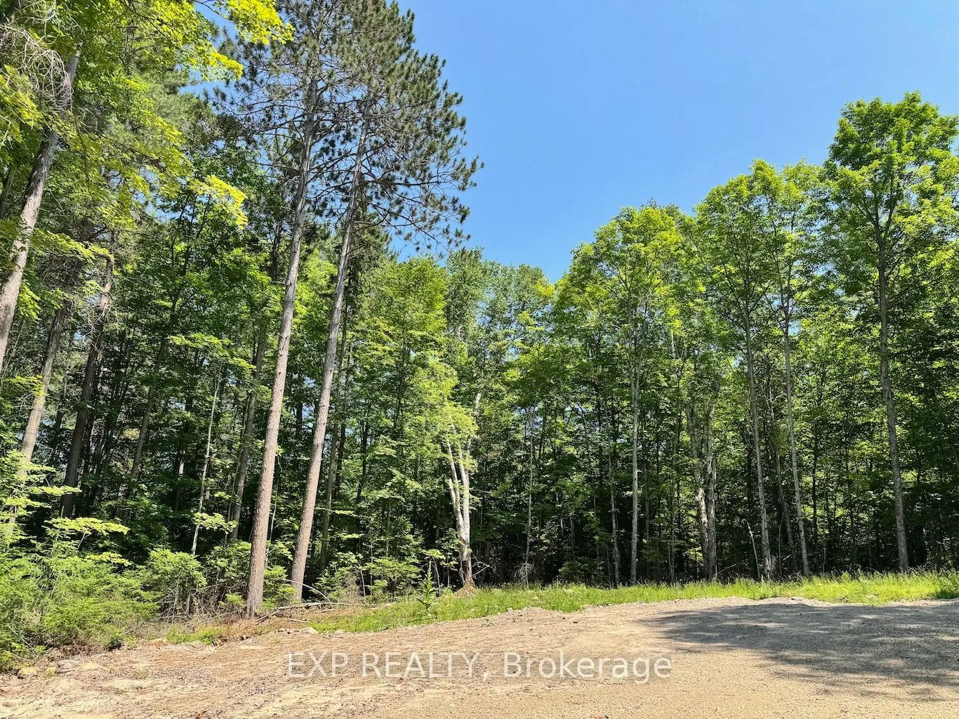 Vacant Land For Sale | X13079886