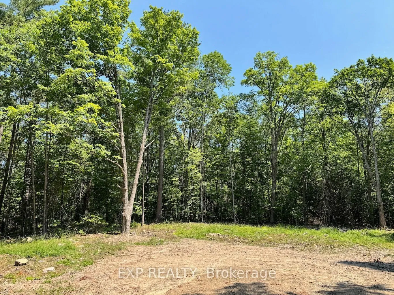 Vacant Land For Sale | X13079888