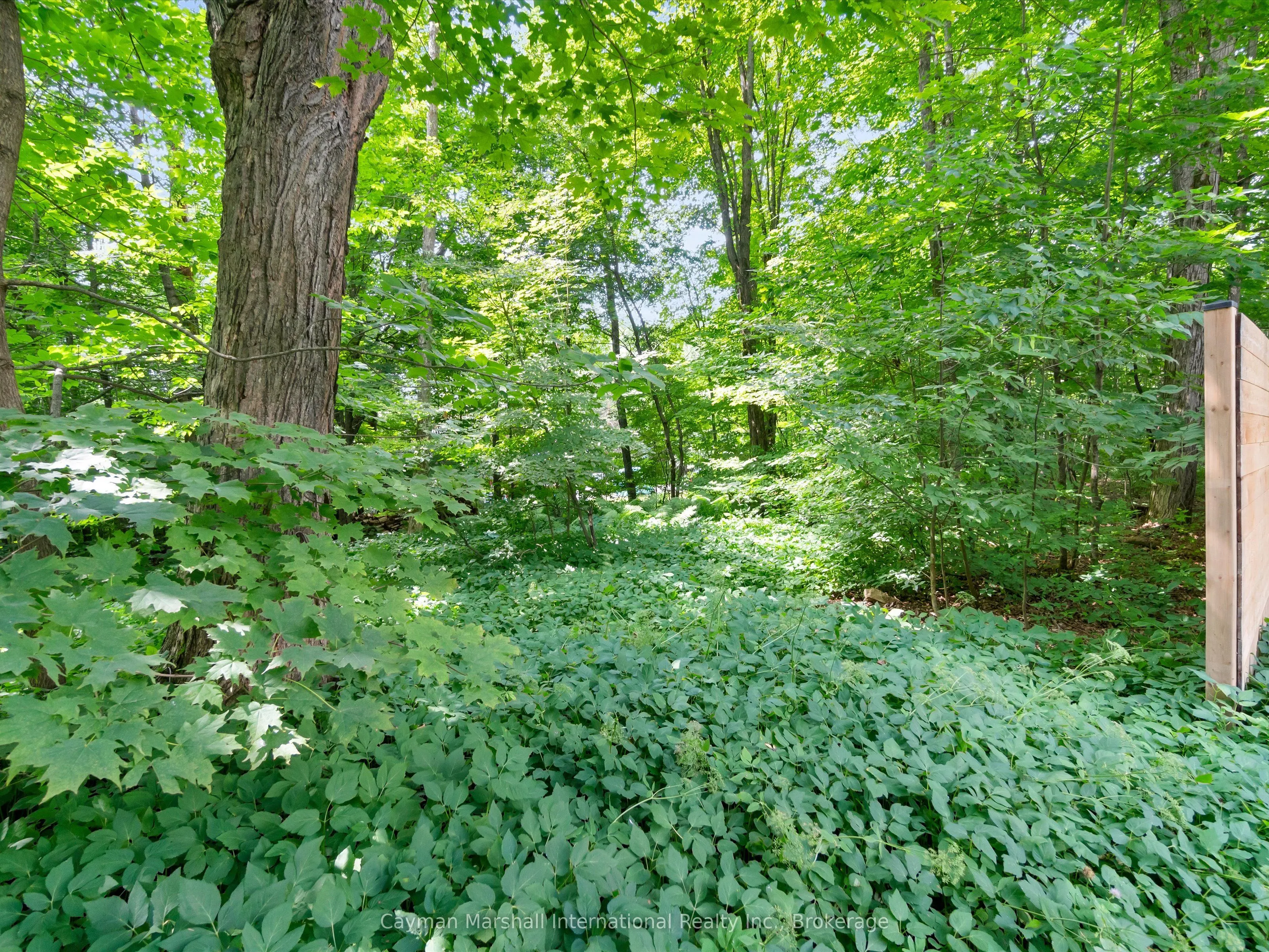 Vacant Land For Sale | X13081824