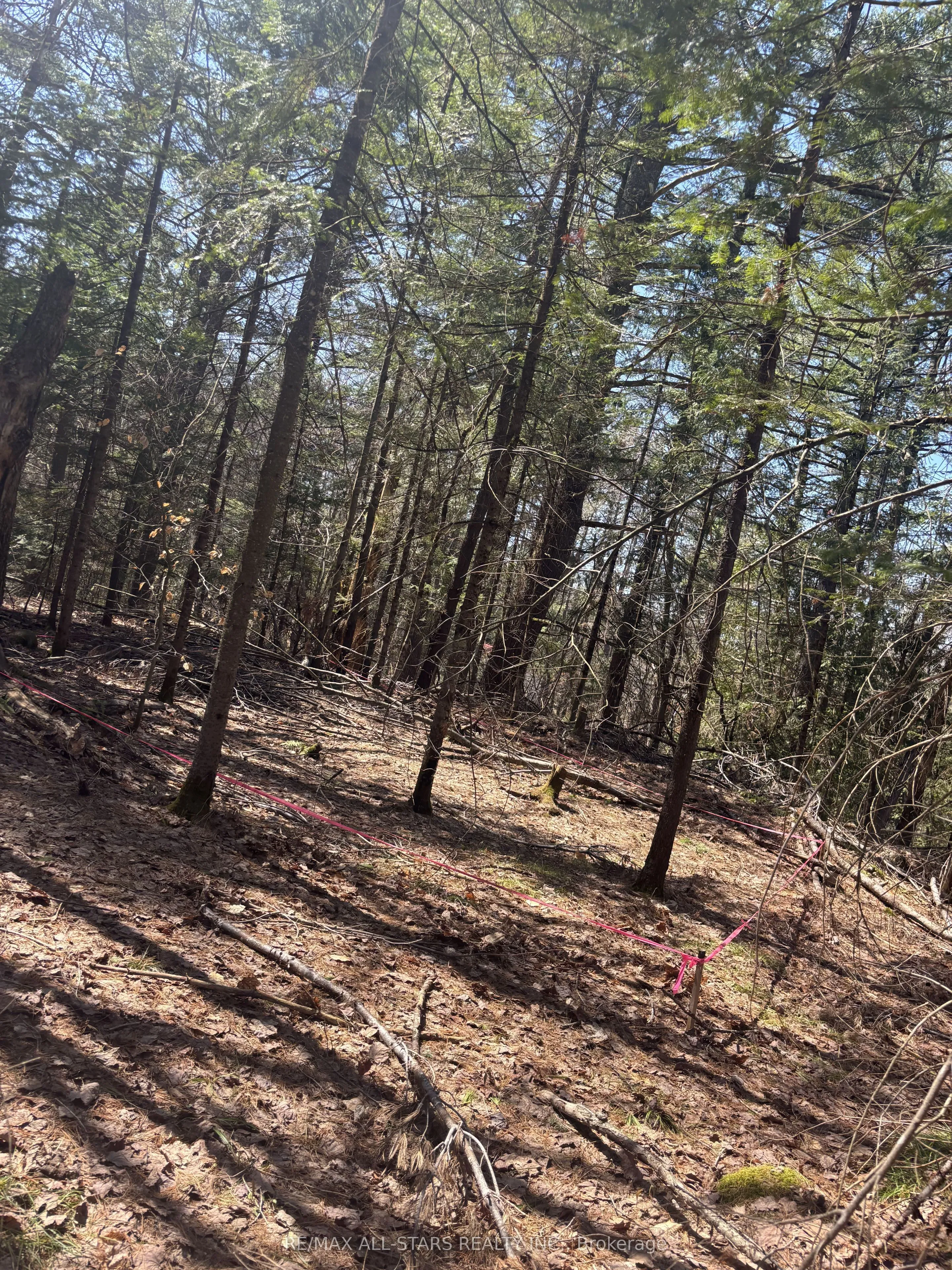 Vacant Land For Sale | X13086130