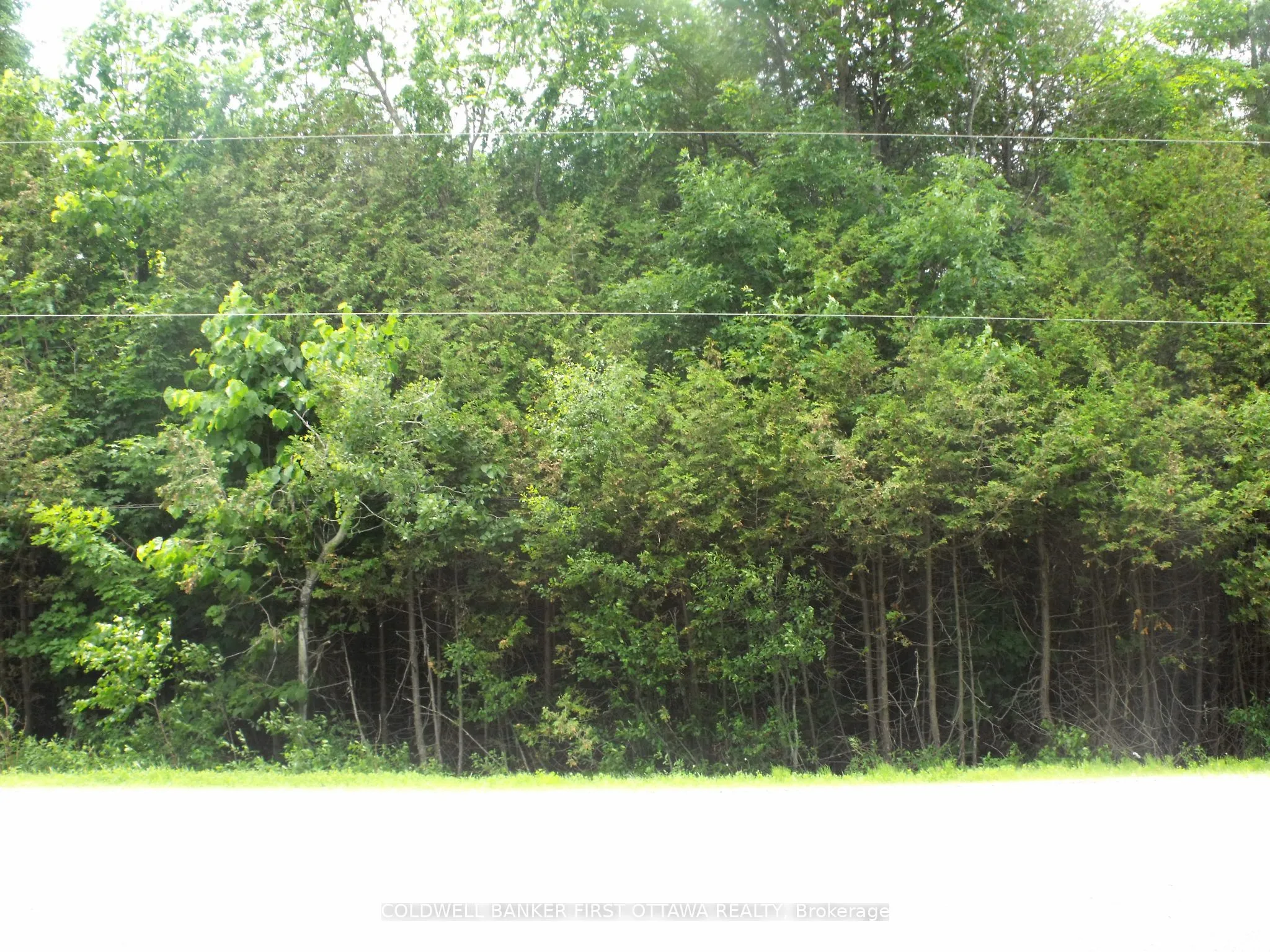 Vacant Land For Sale | X13086940