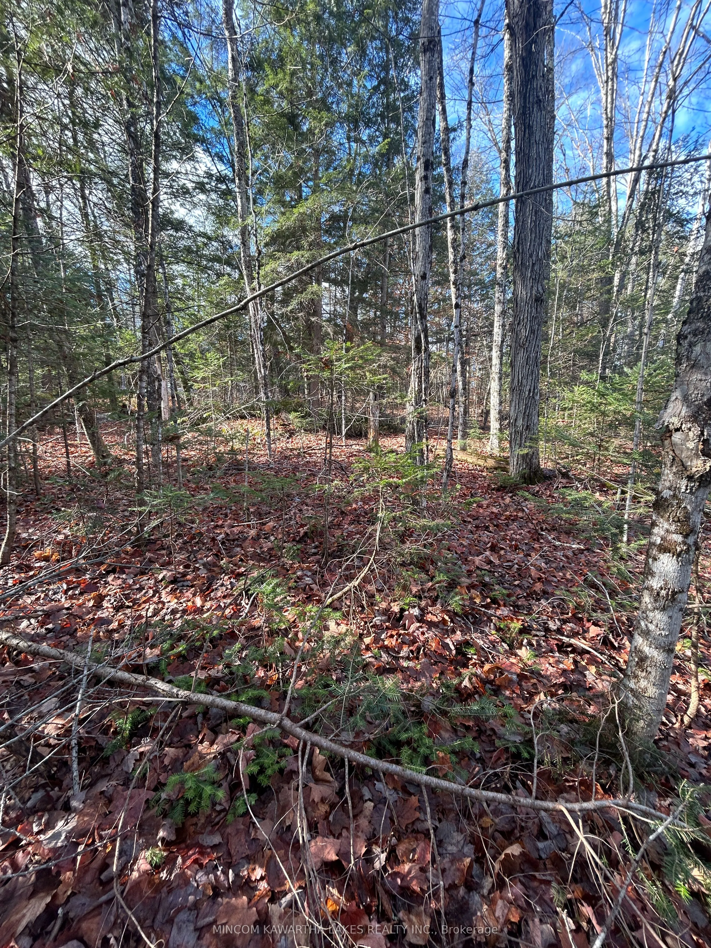 Vacant Land For Sale | X13092704