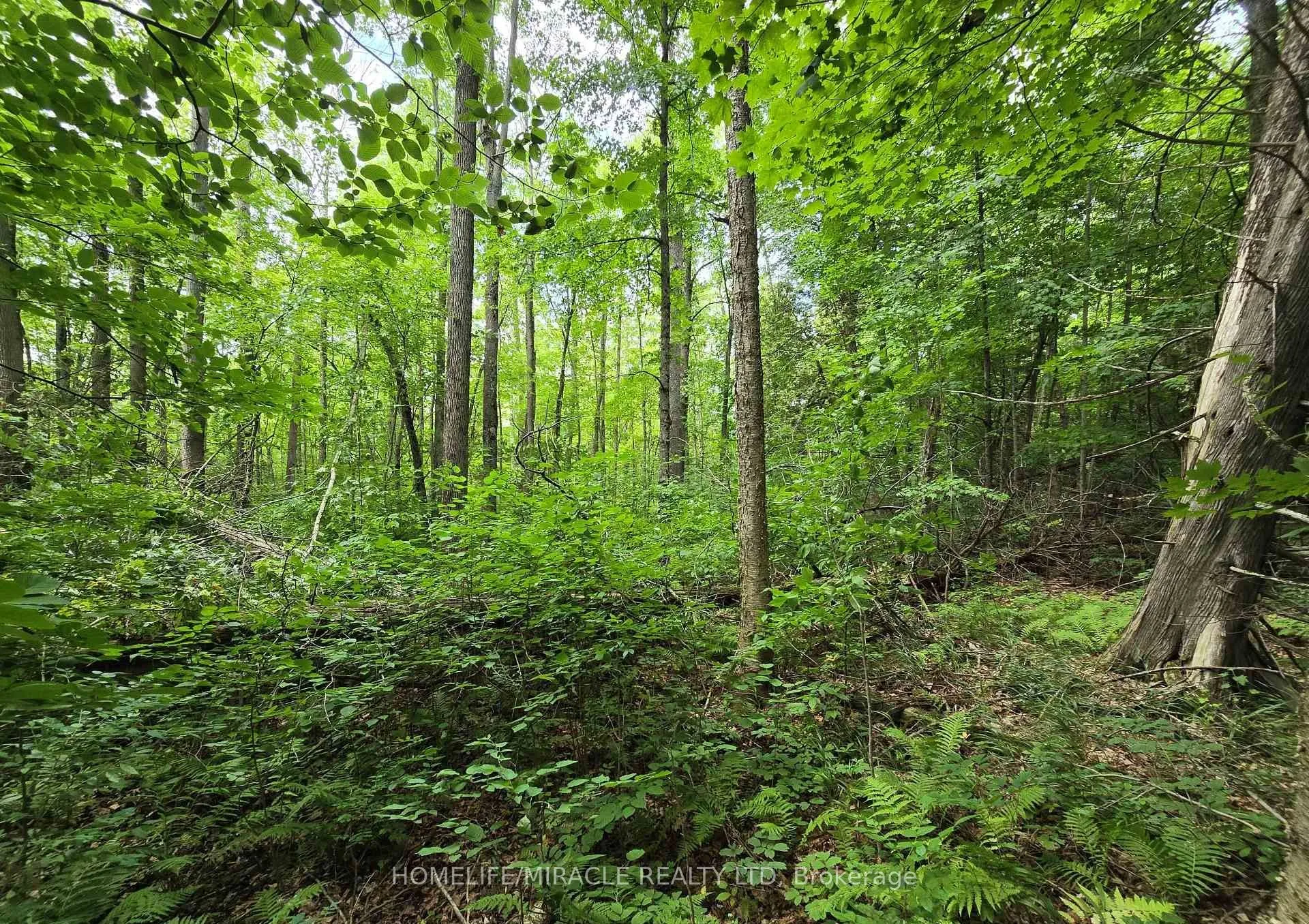 Vacant Land For Sale | X13093346