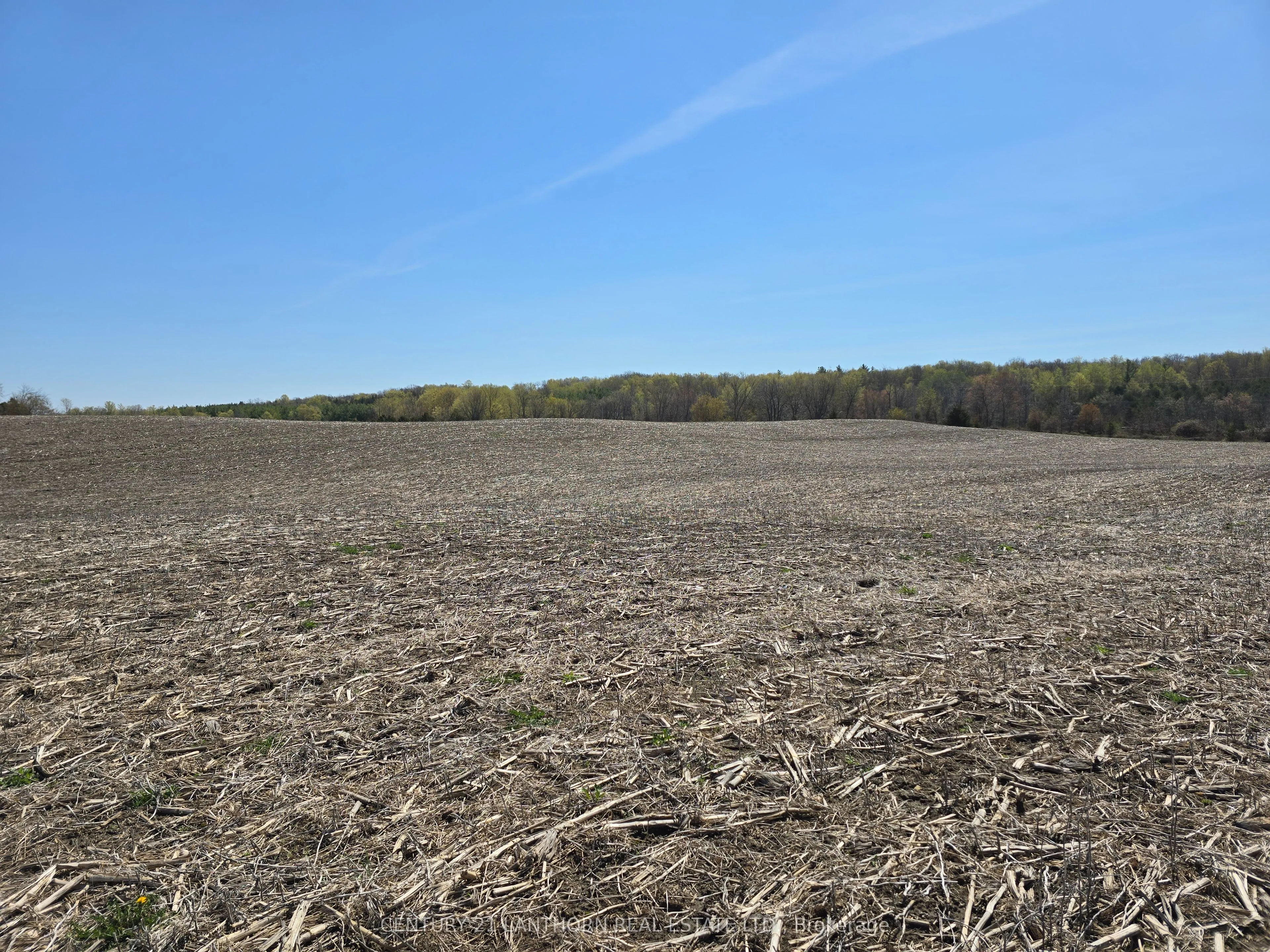 Vacant Land For Sale | X13093684
