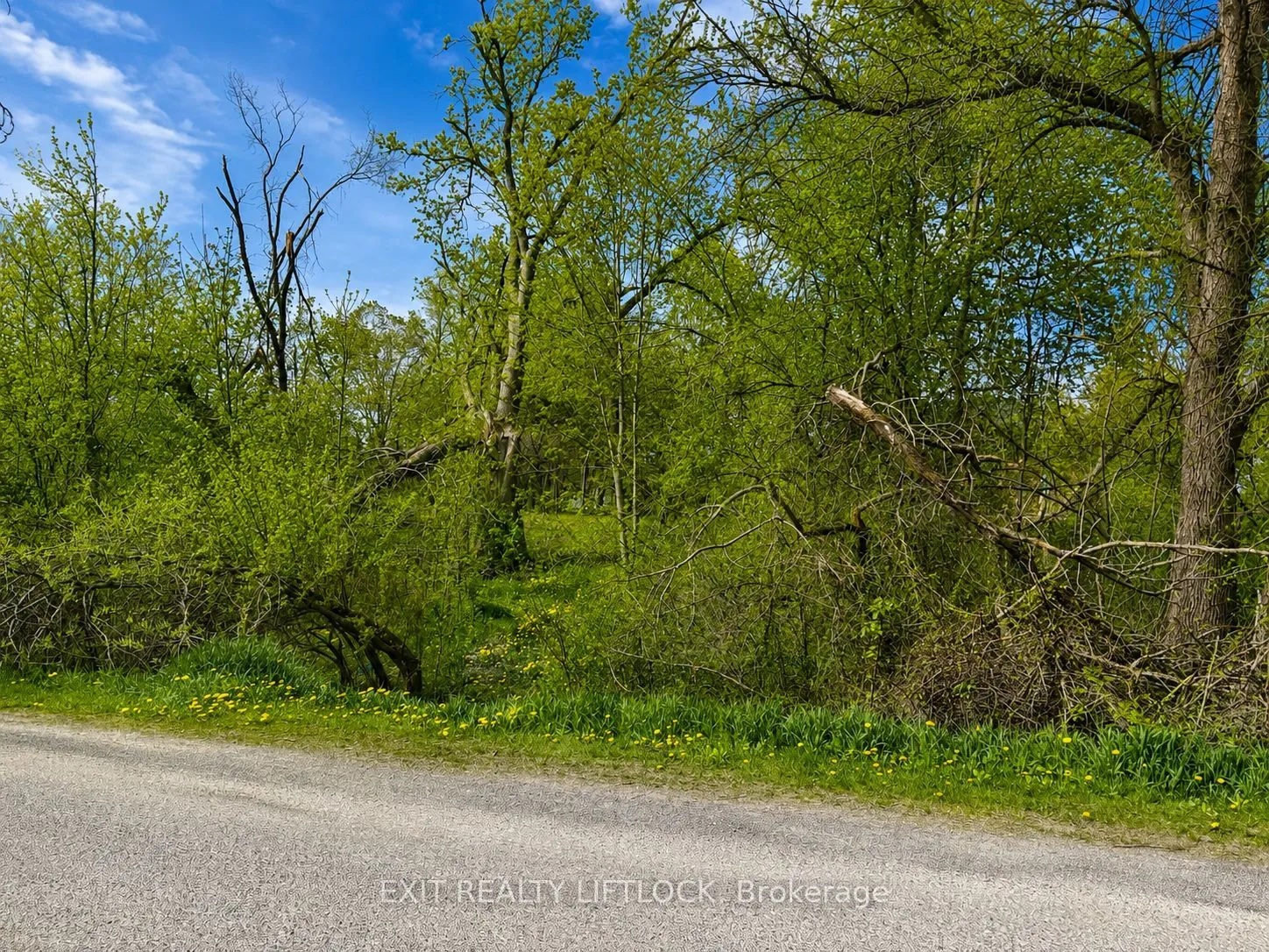 Vacant Land For Sale | X13096080