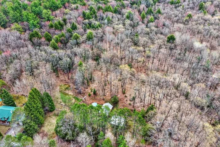 3640 Muskoka Rd 117 Road E, Lake Of Bays, ON P0B 1A0