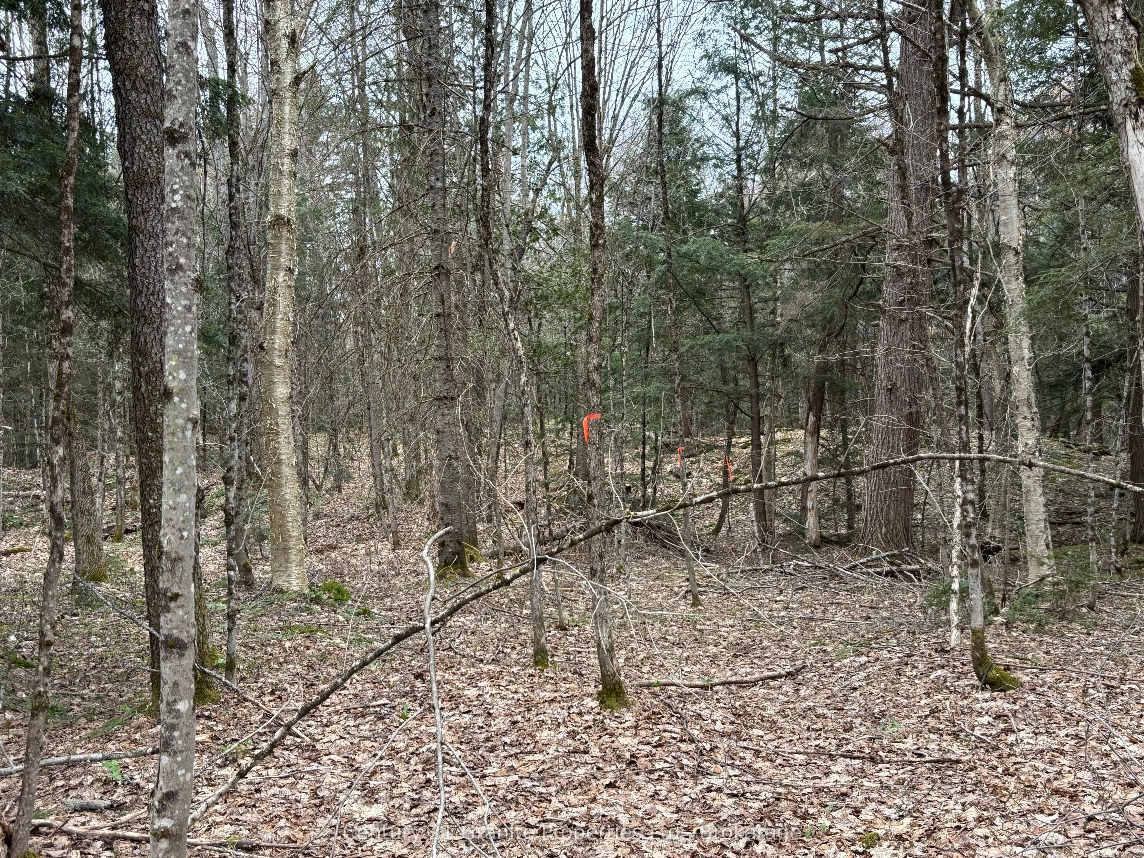 Vacant Land For Sale | X13100632