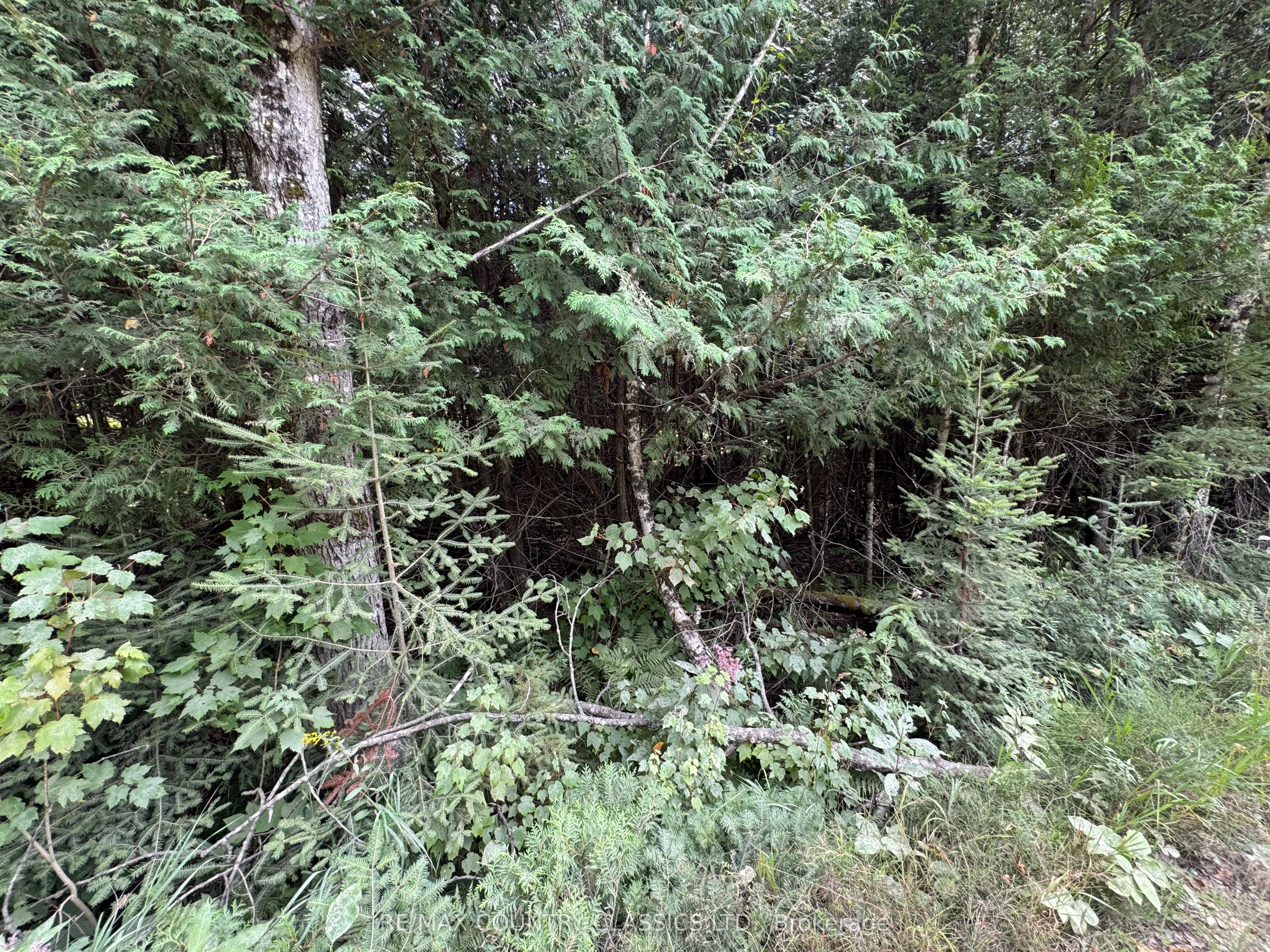 Vacant Land For Sale | X13102012