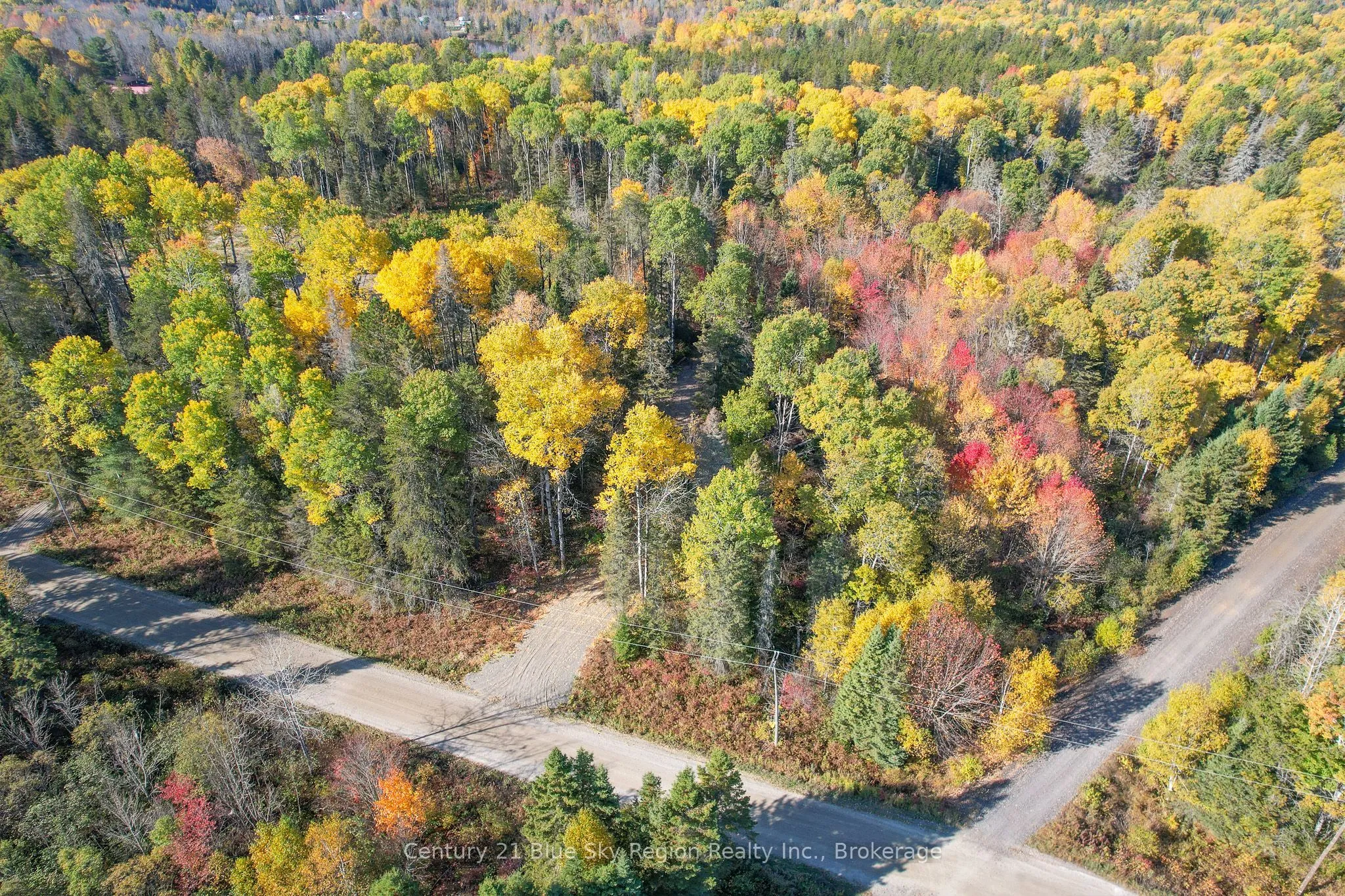 Vacant Land For Sale | X13102408