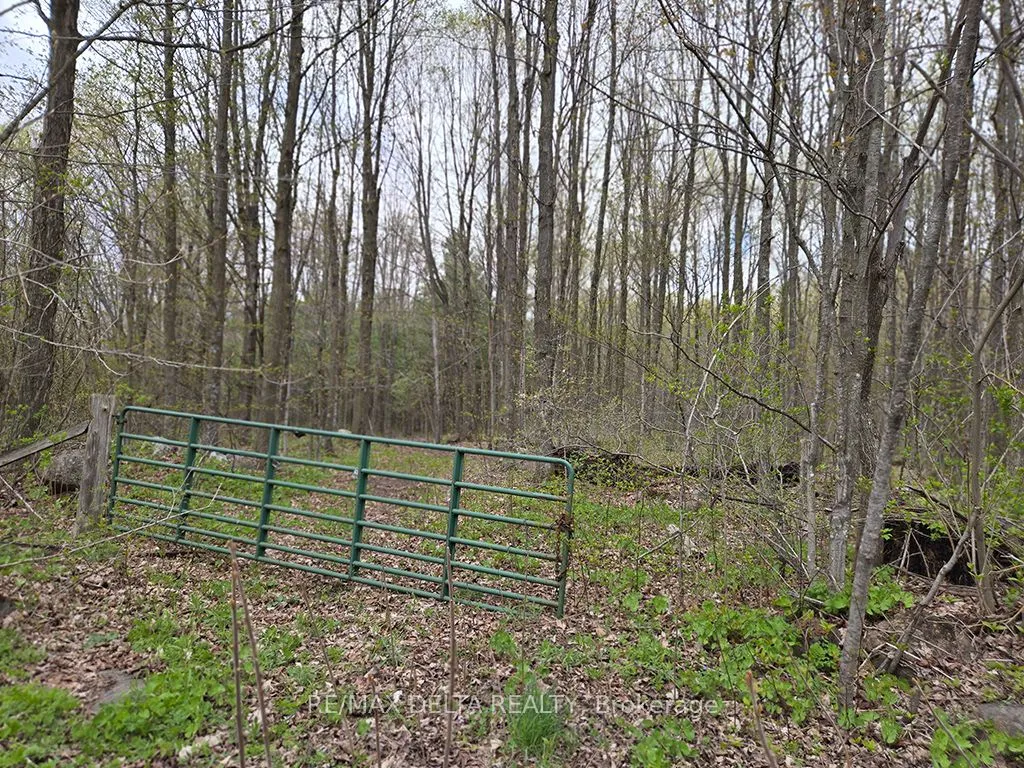 Vacant Land For Sale | X13104890