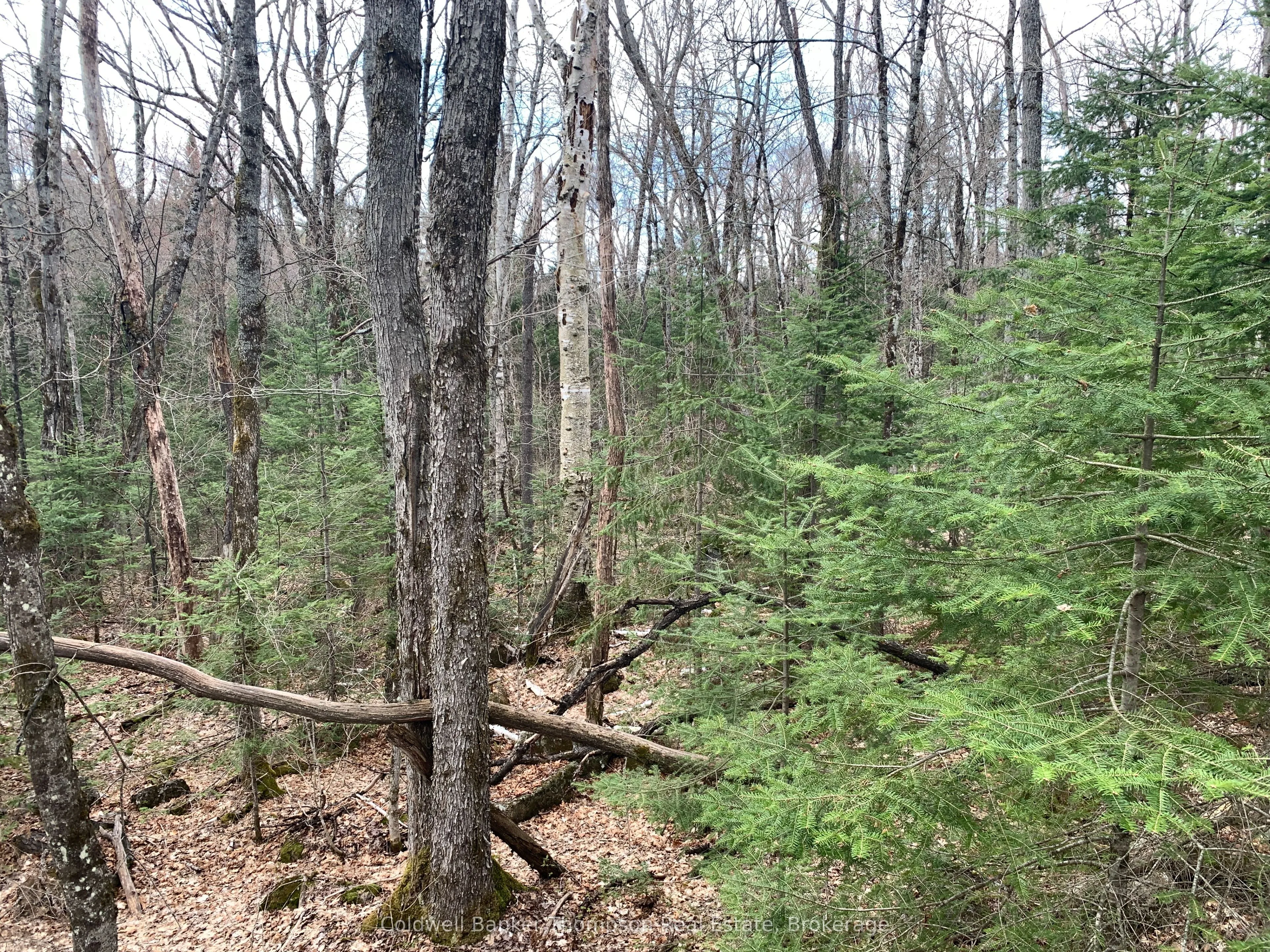 Vacant Land For Sale | X13107170