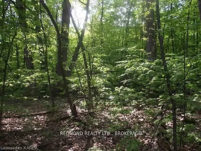 Vacant Land For Sale | X13111898